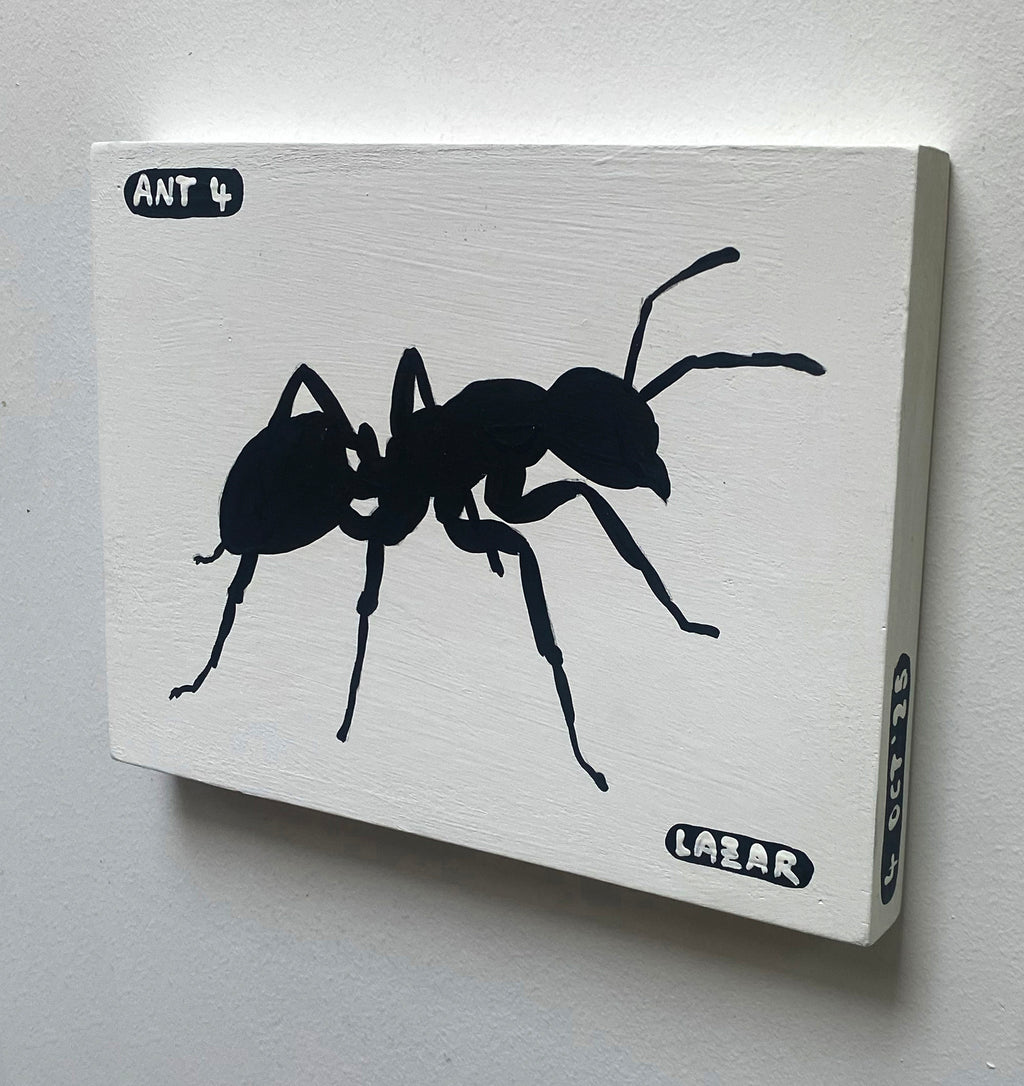 Ant #04