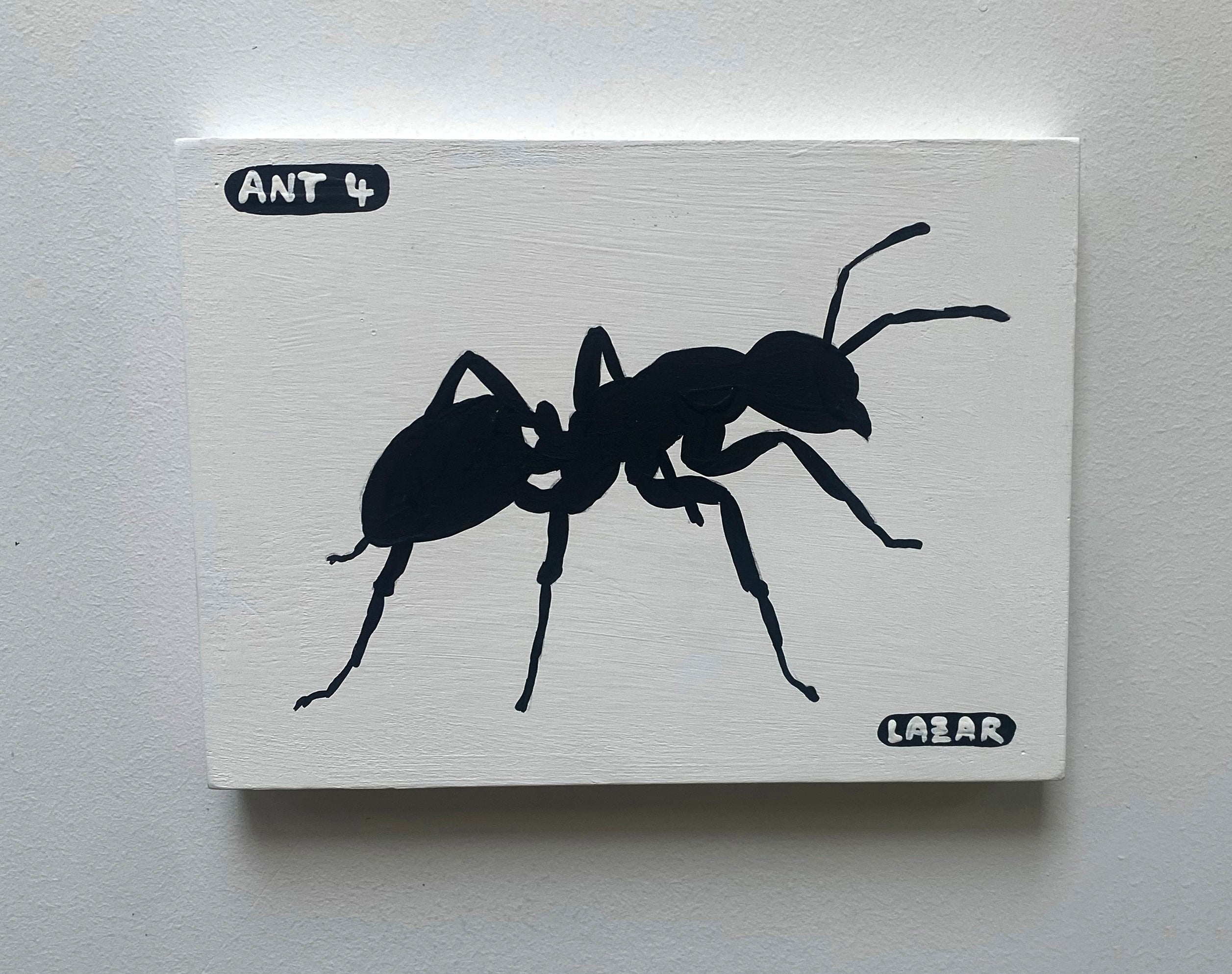 Ant #04