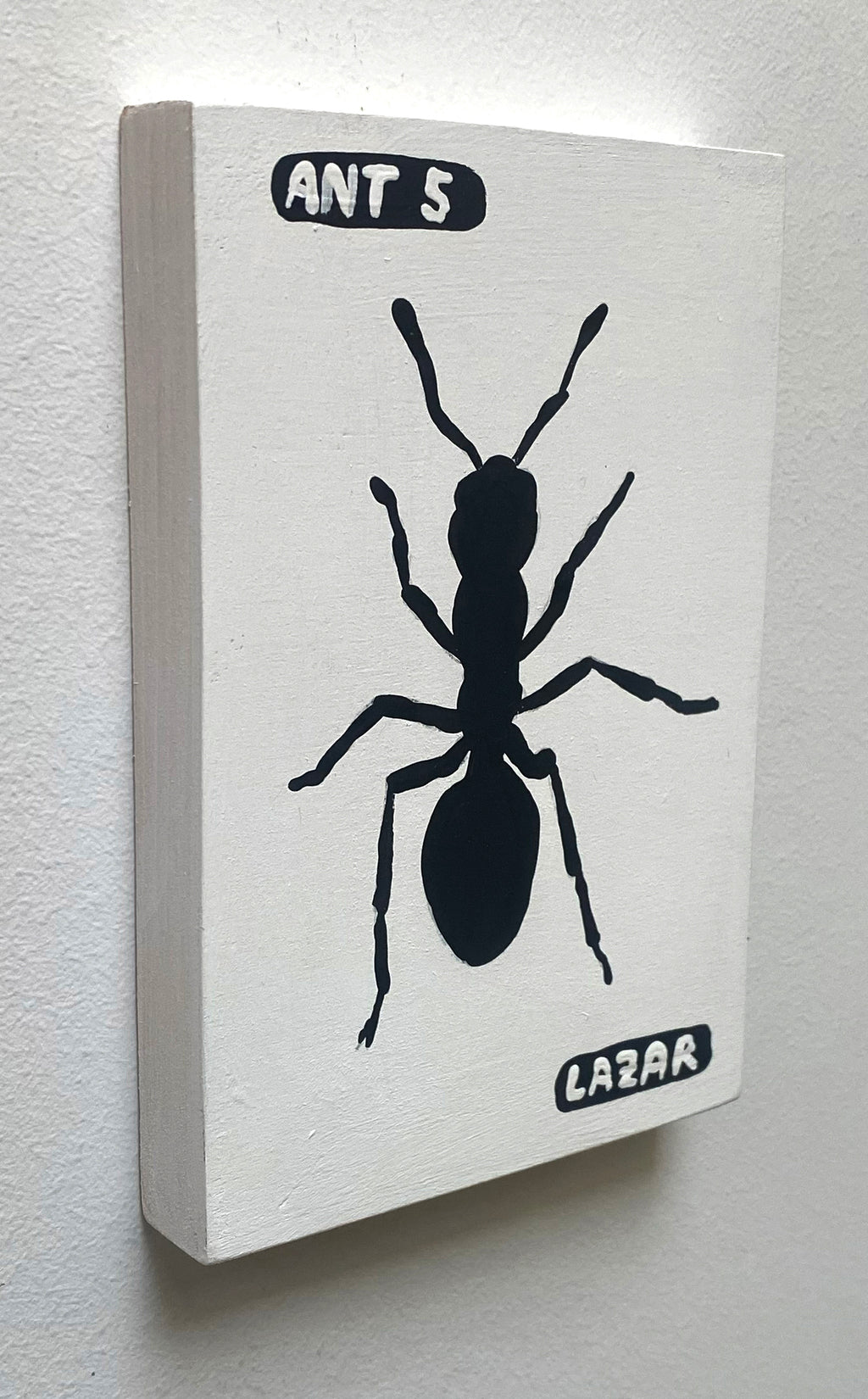 Ant #05