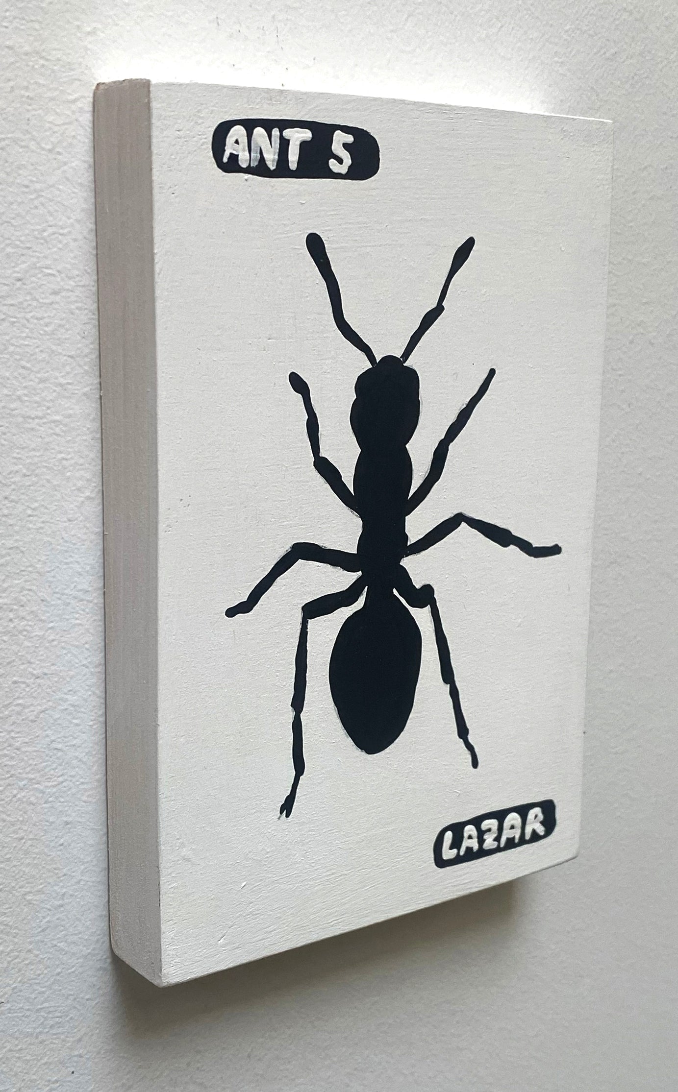 Ant #05
