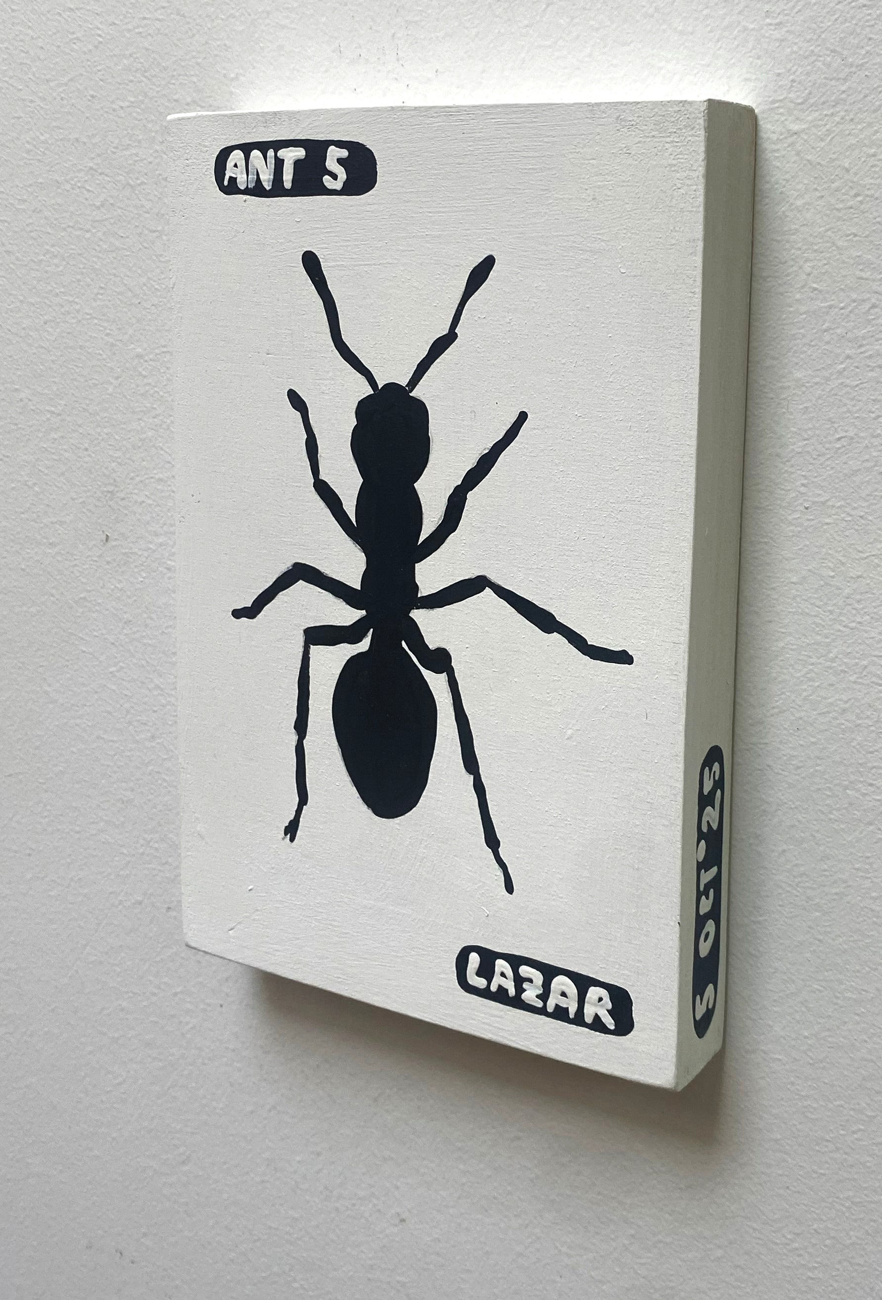 Ant #05