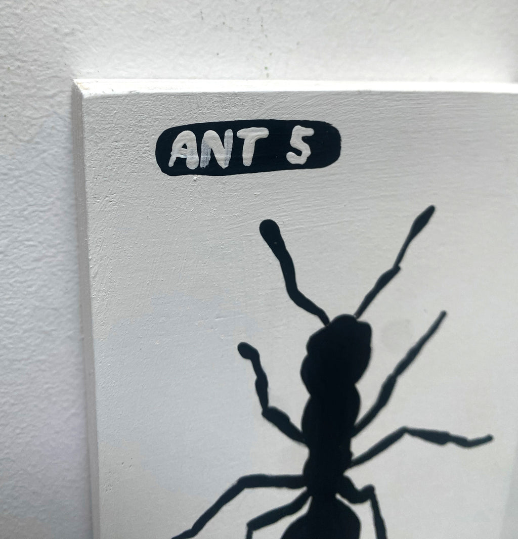 Ant #05