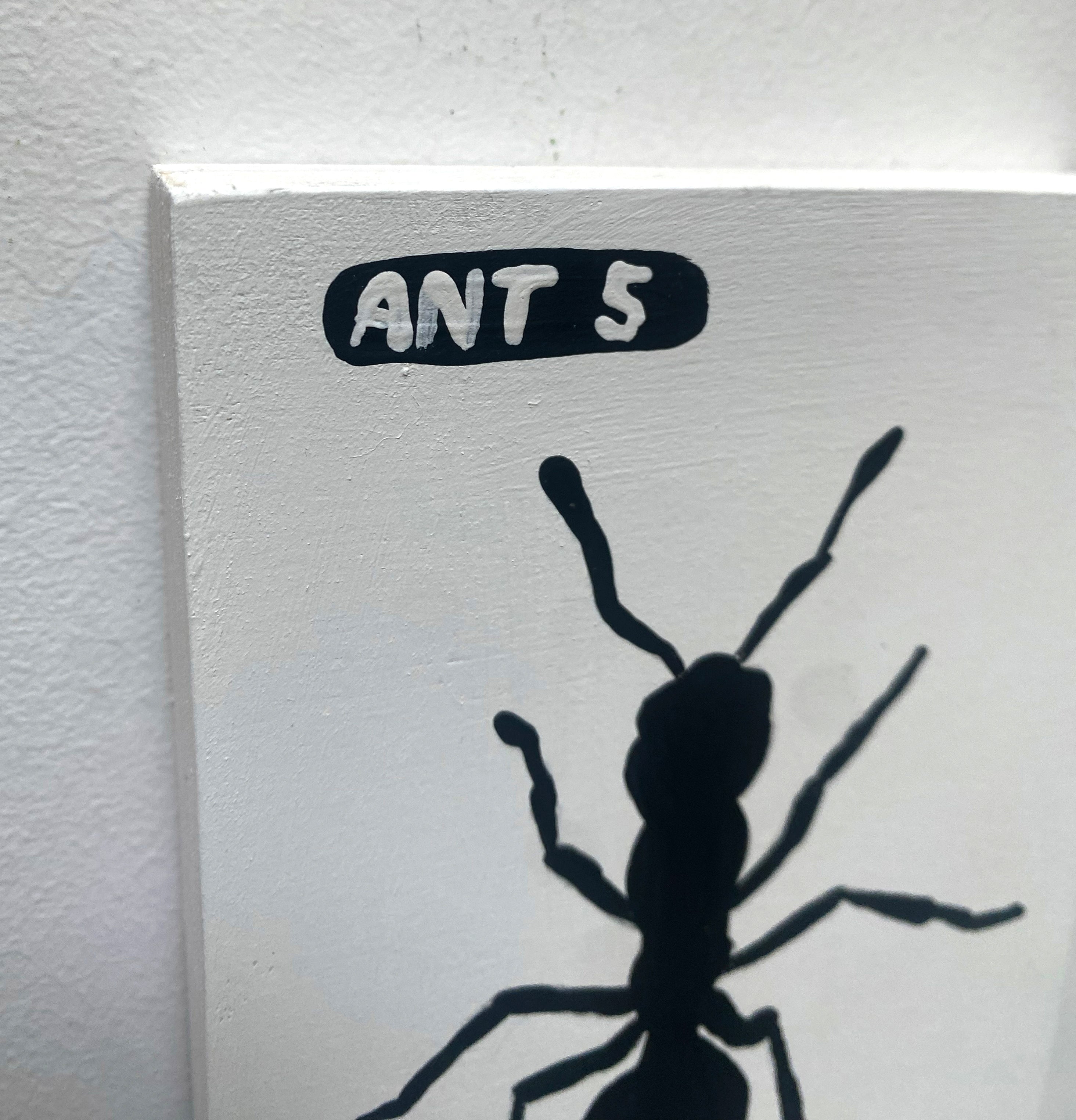 Ant #05