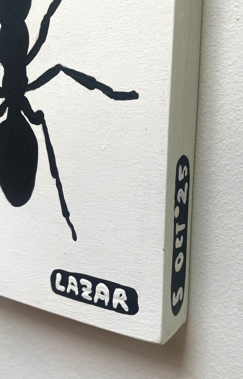 Ant #05