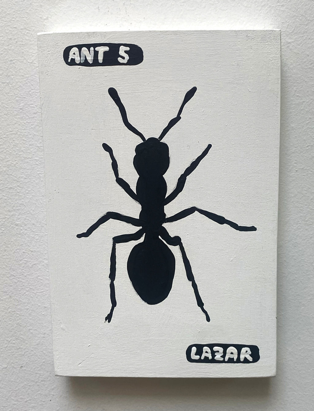 Ant #05