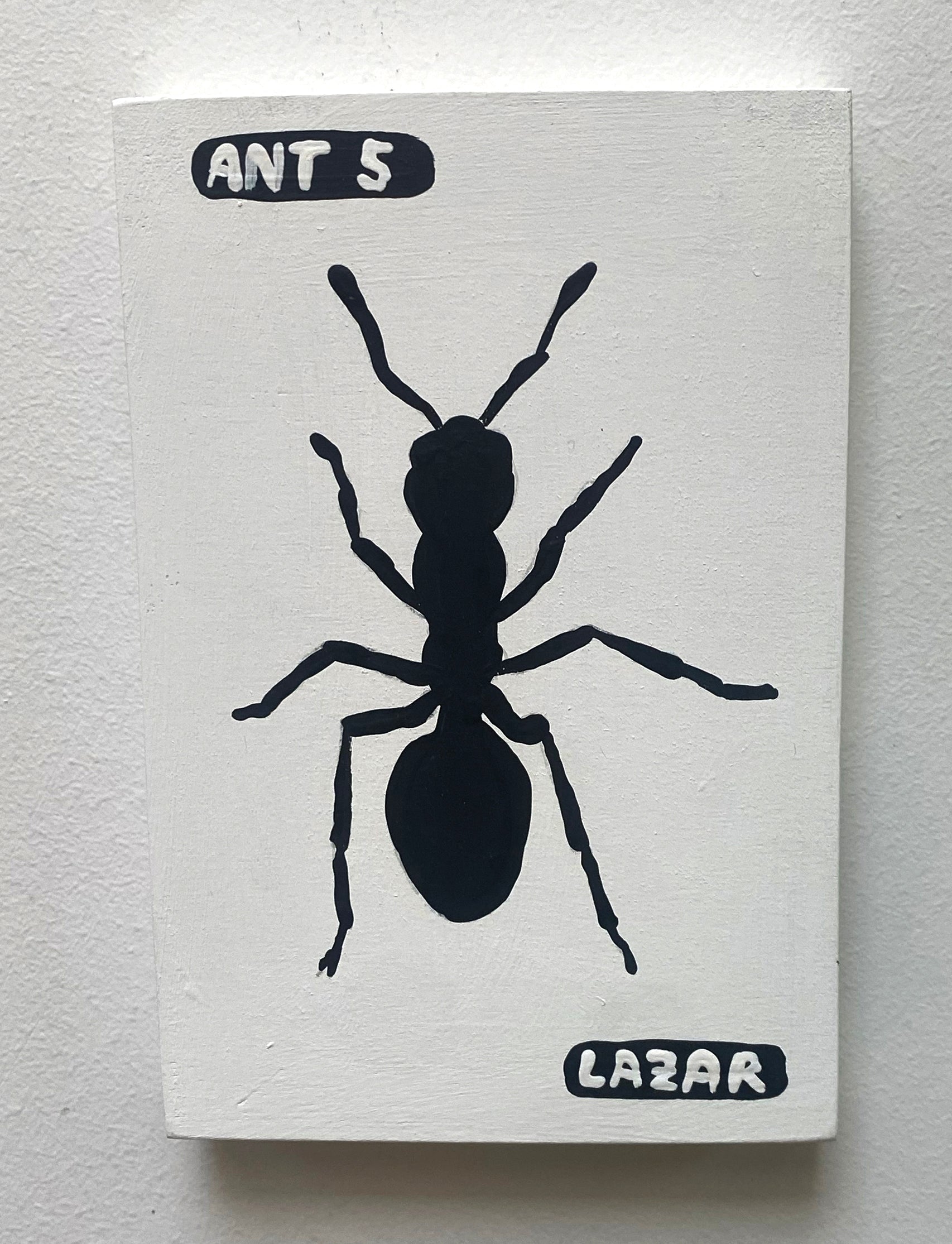 Ant #05