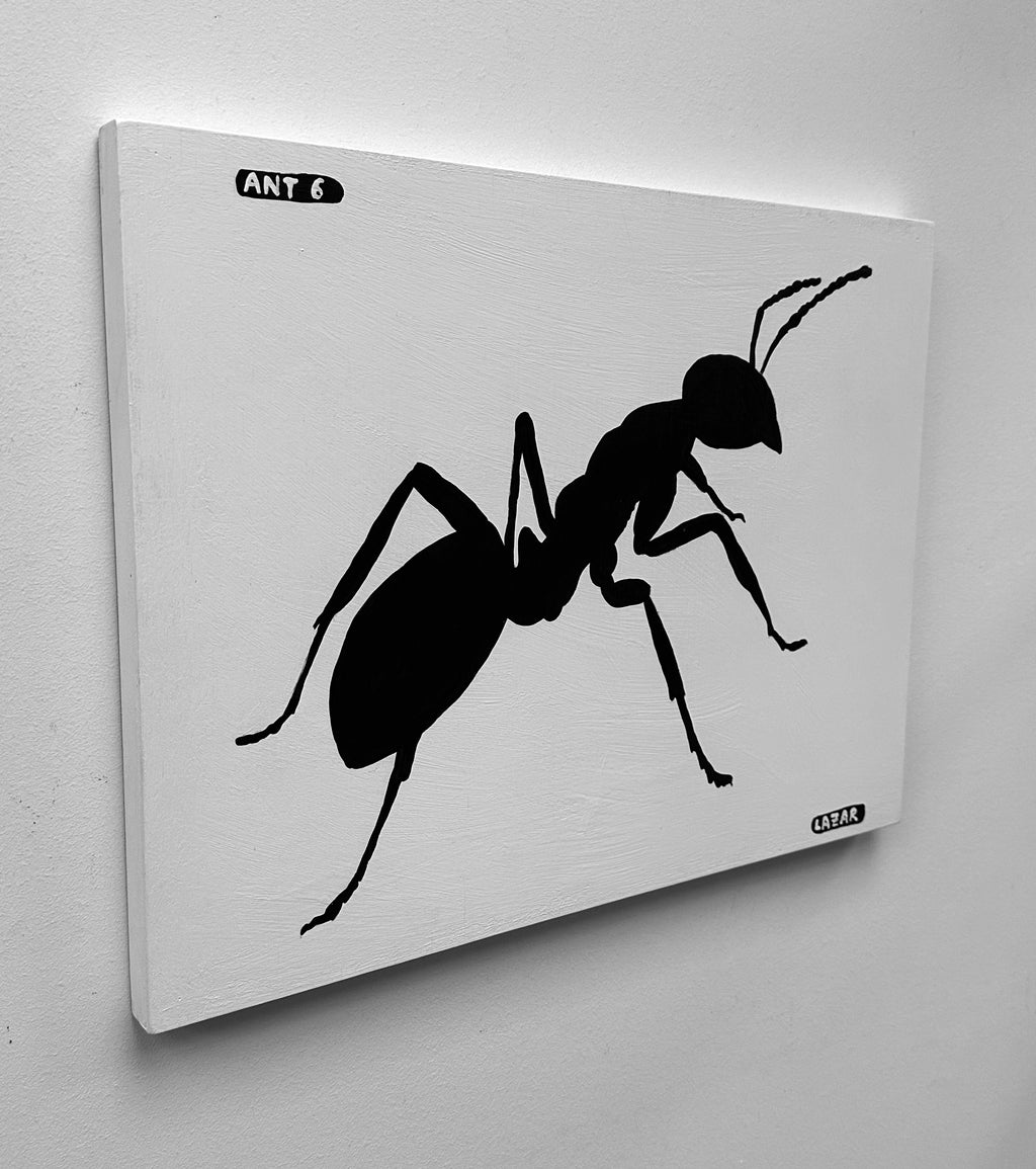 Ant #06