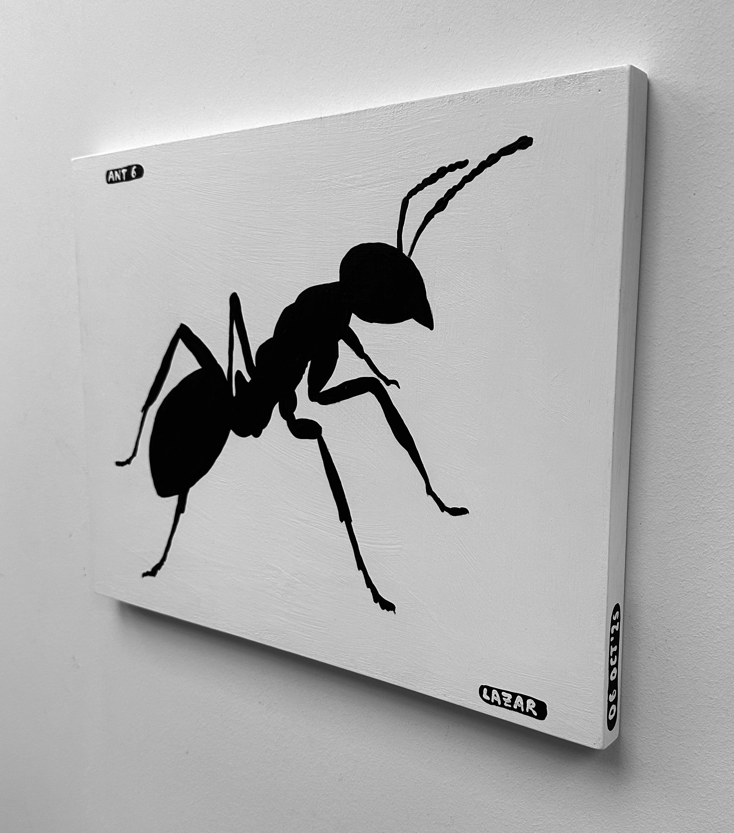 Ant #06