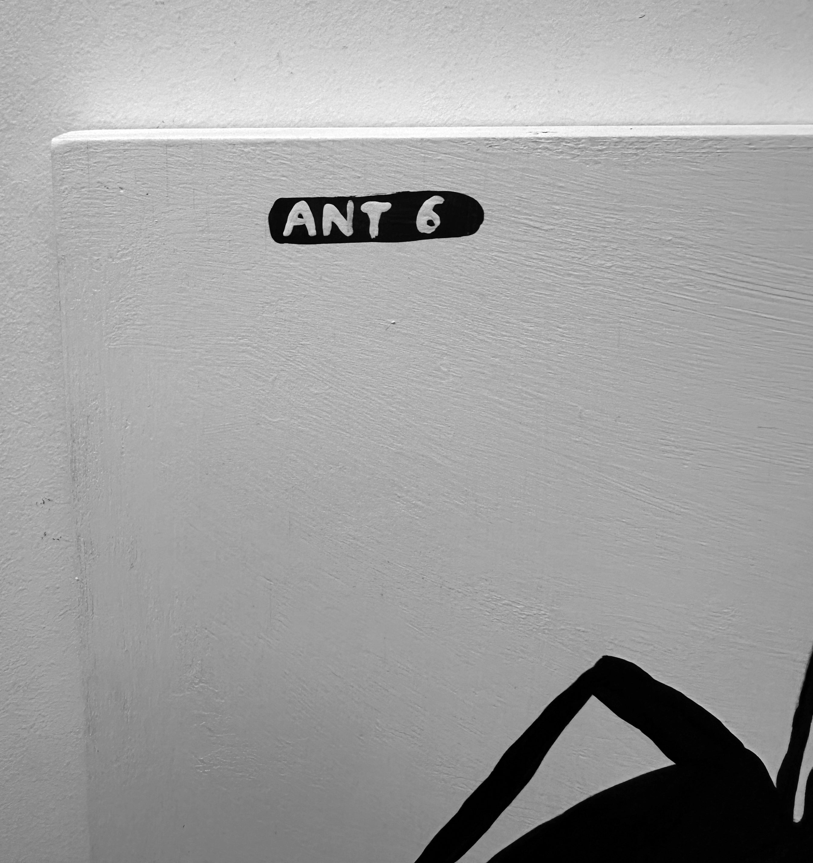 Ant #06