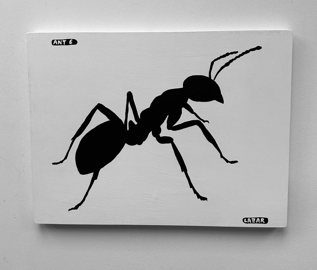 Ant #06