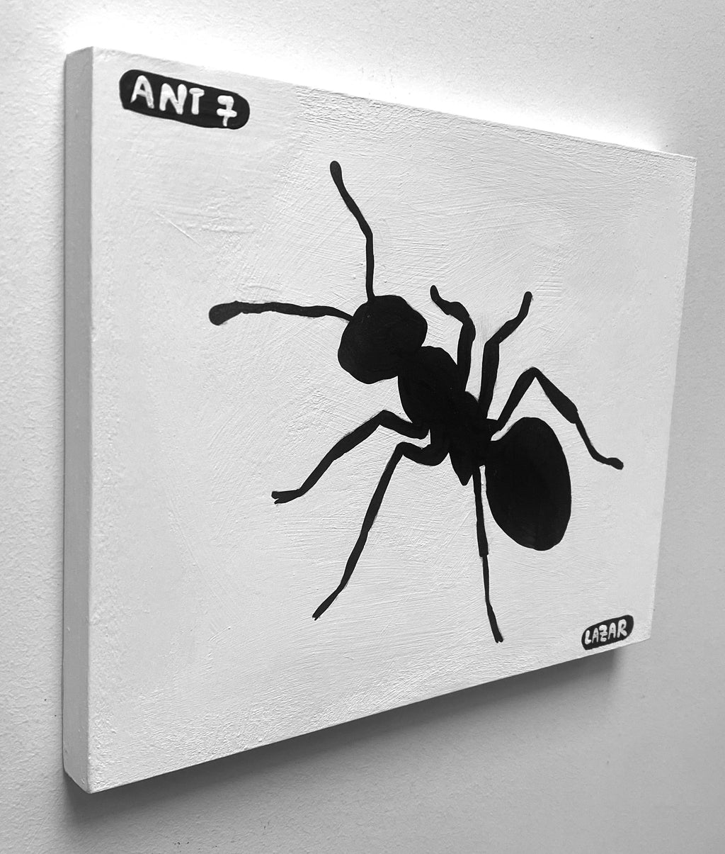 Ant #07