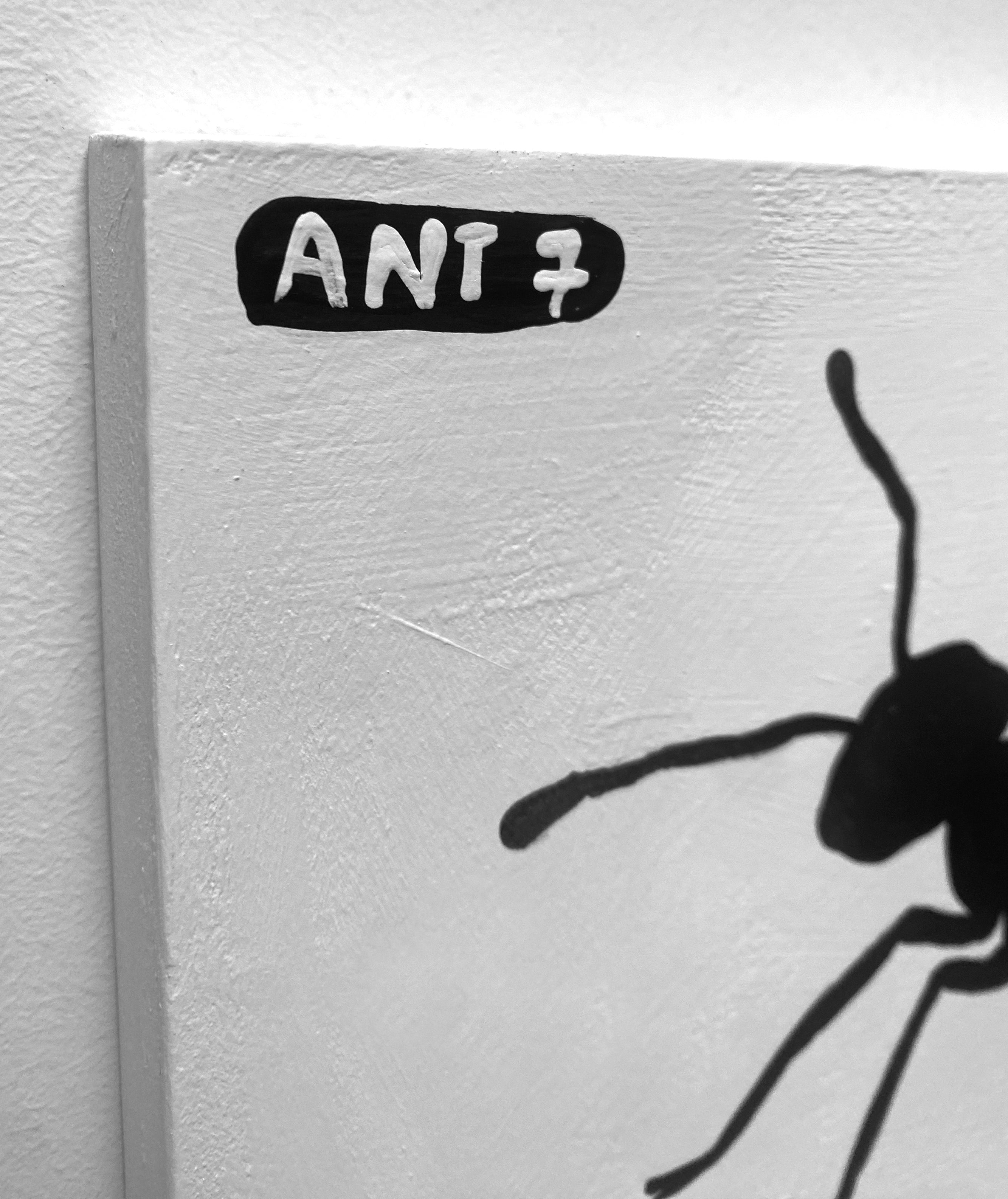 Ant #07