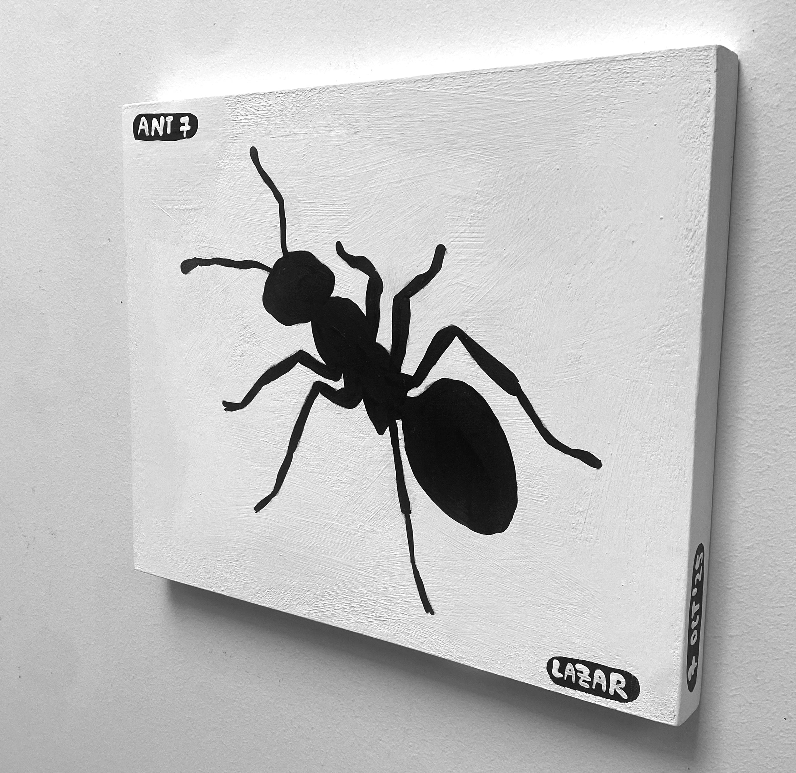 Ant #07