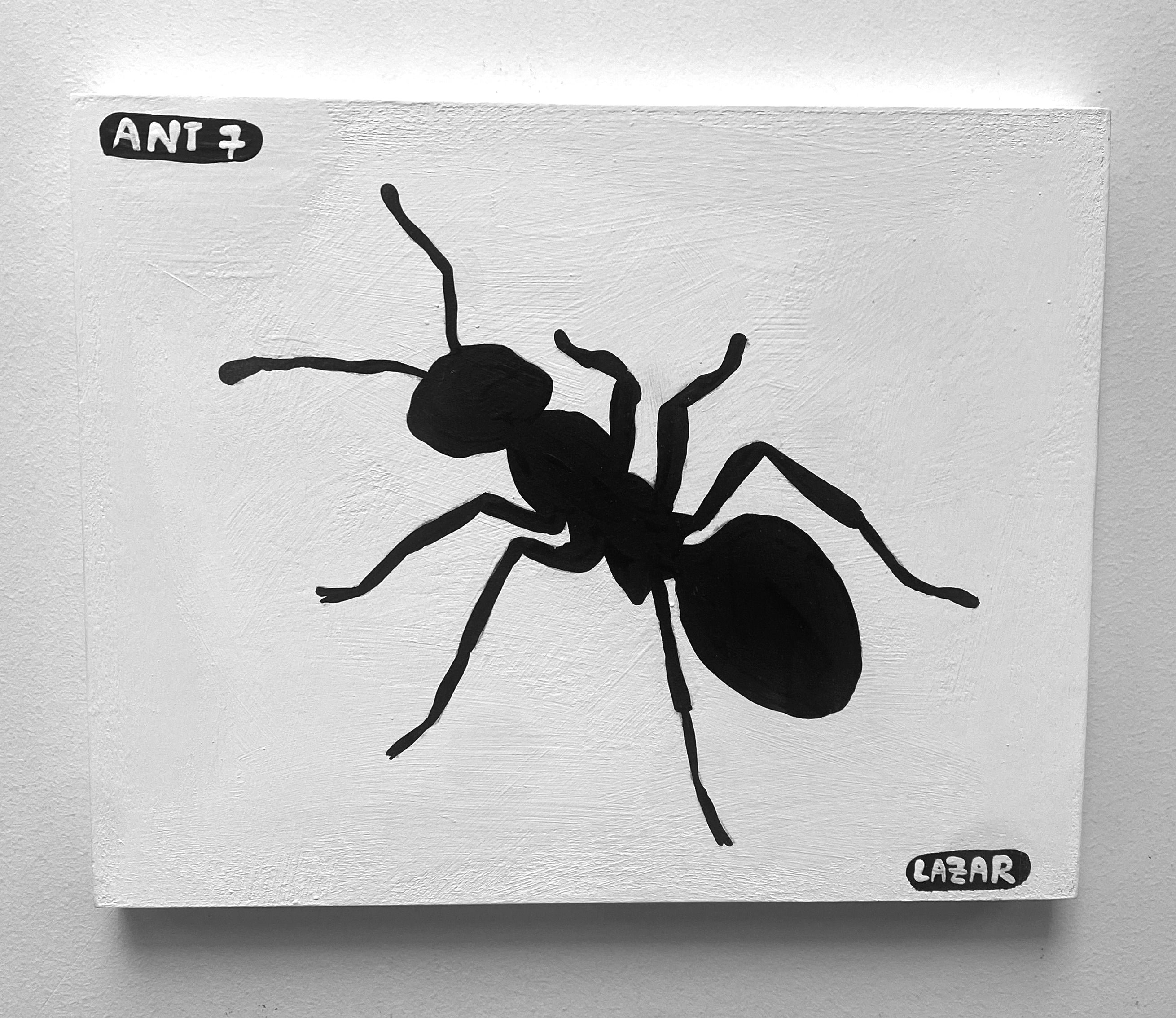 Ant #07