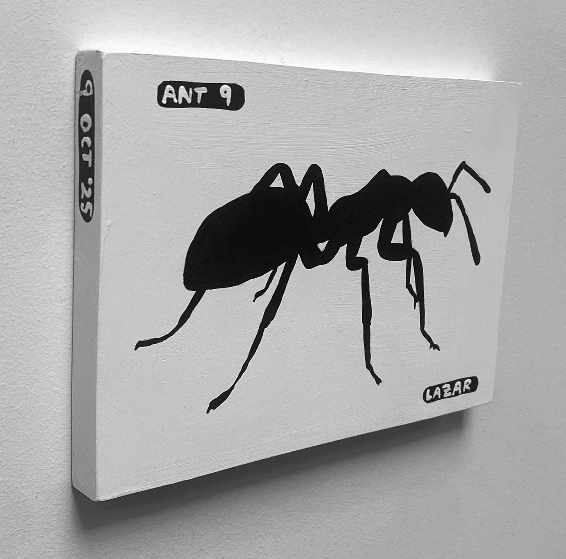 Ant #09