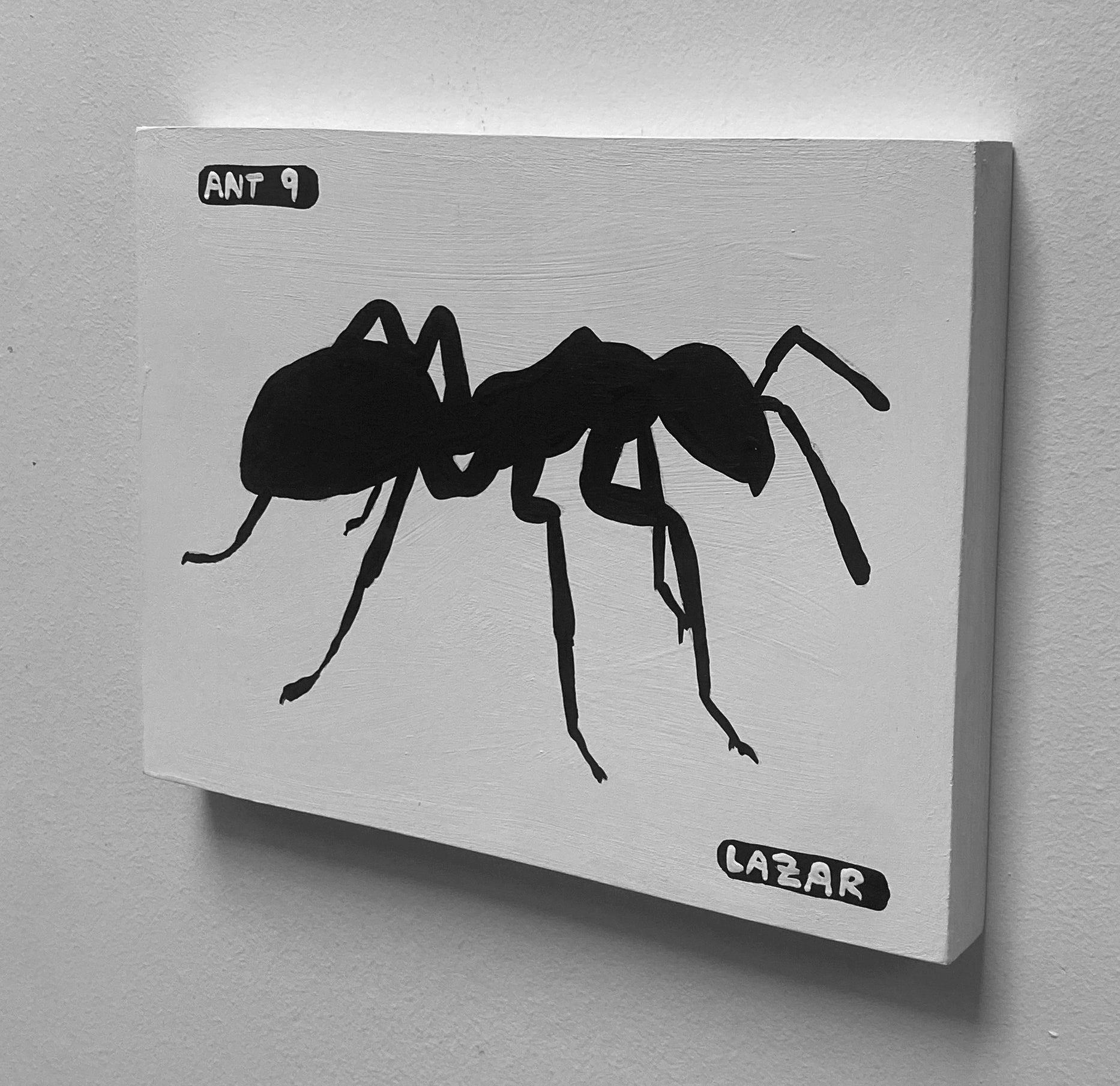 Ant #09