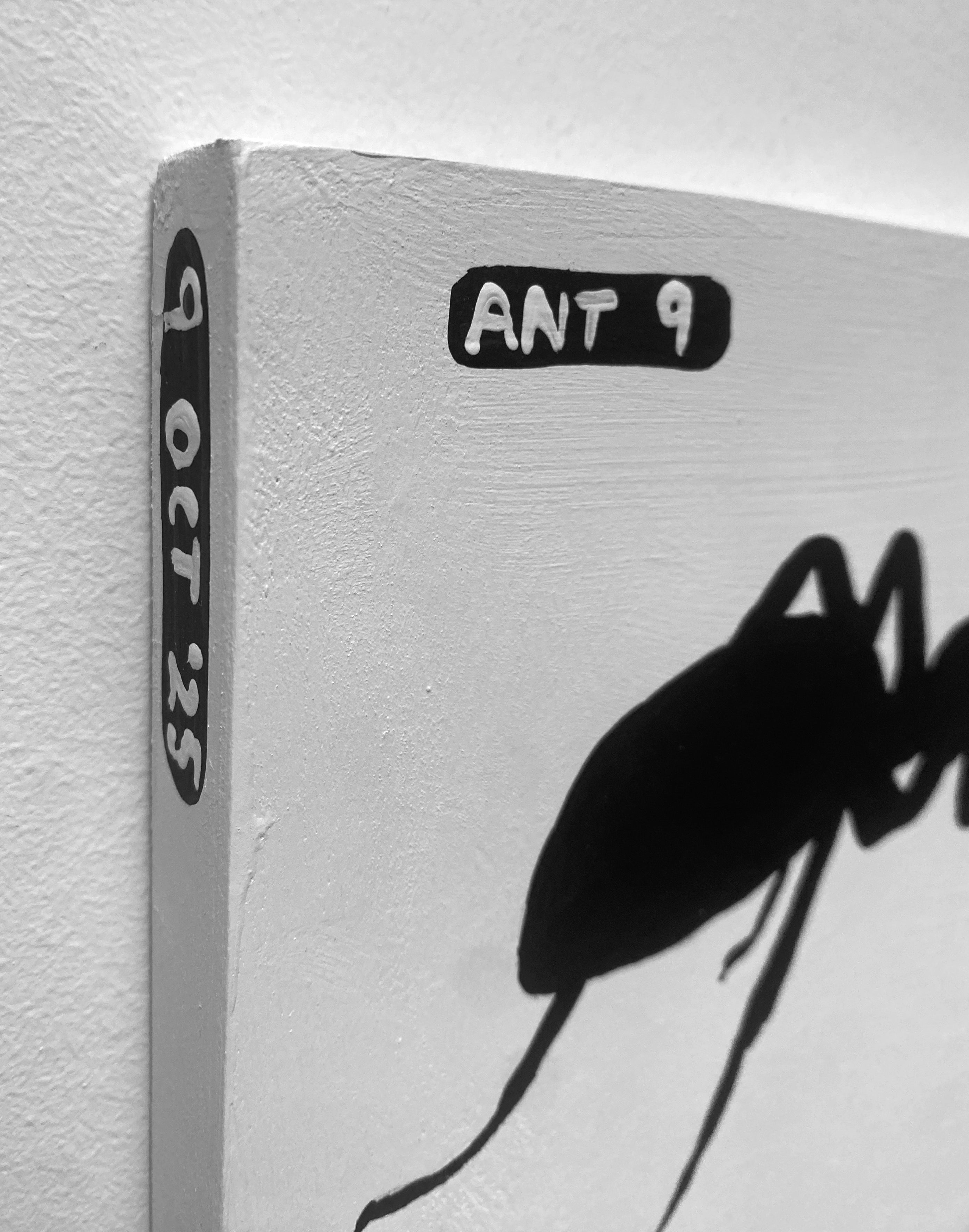 Ant #09