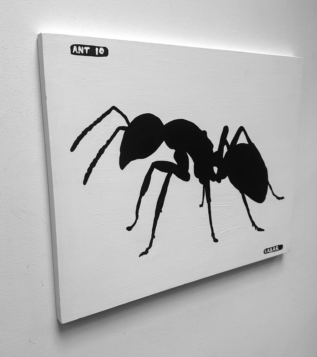 Ant #10