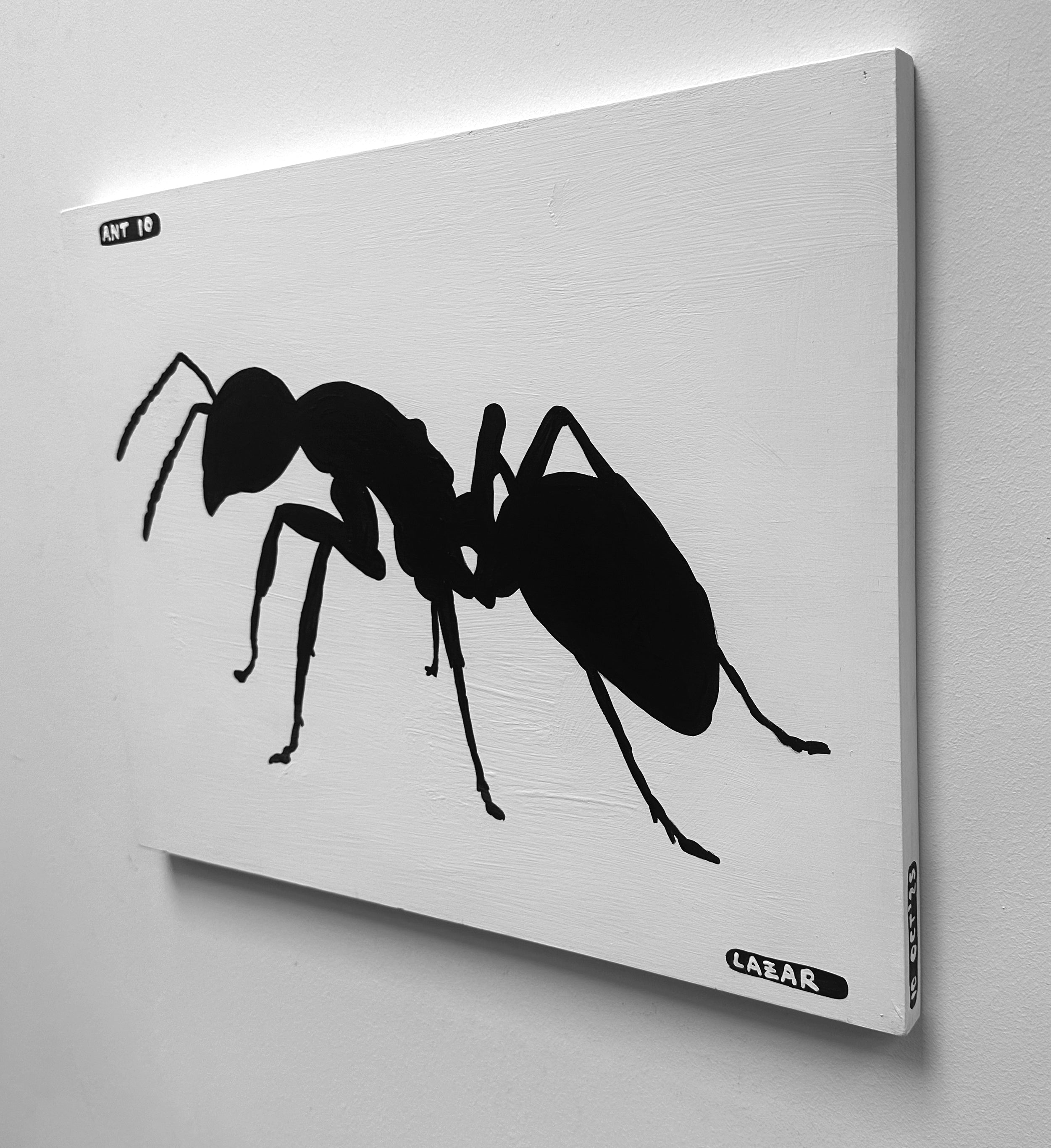 Ant #10