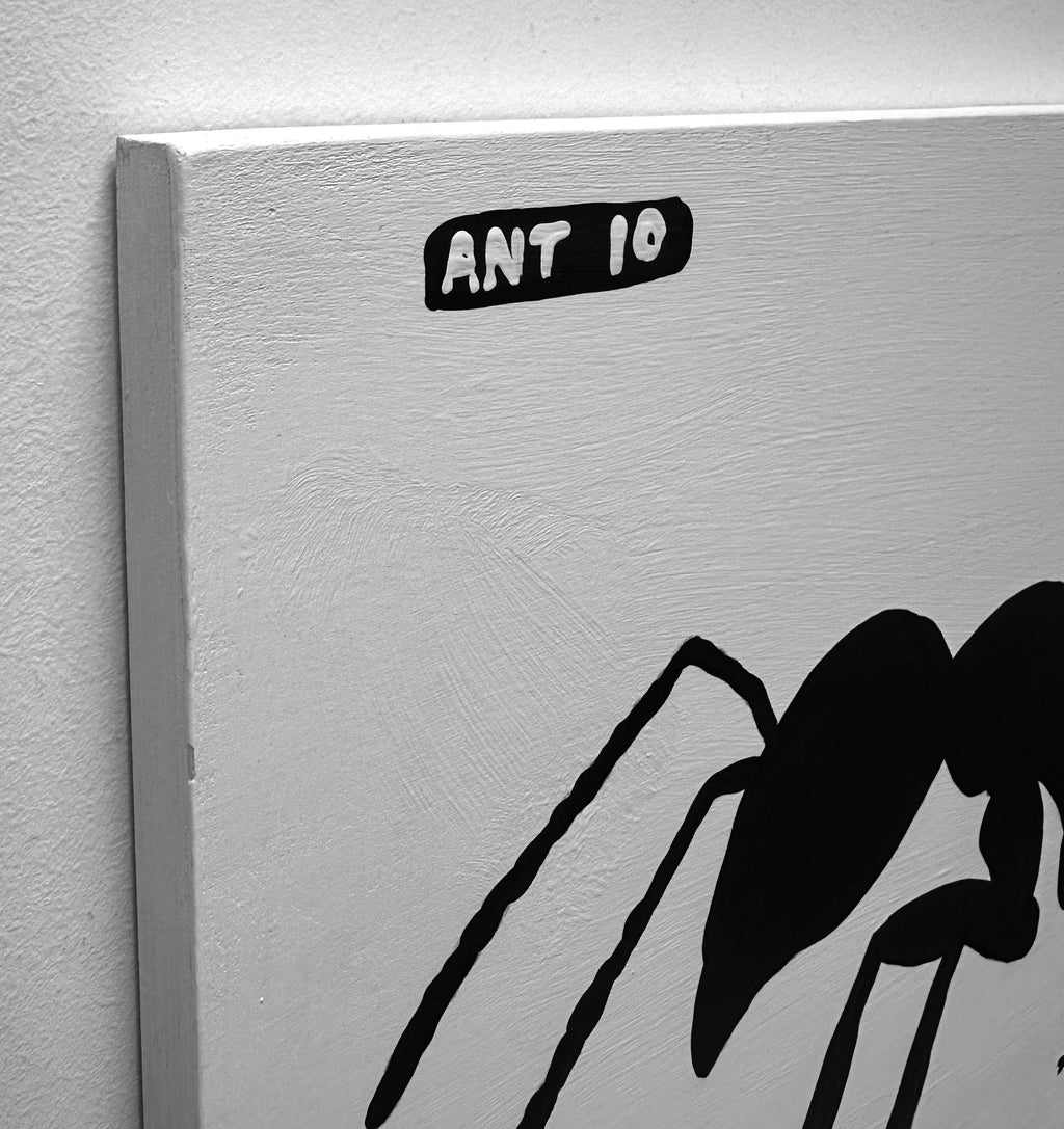 Ant #10