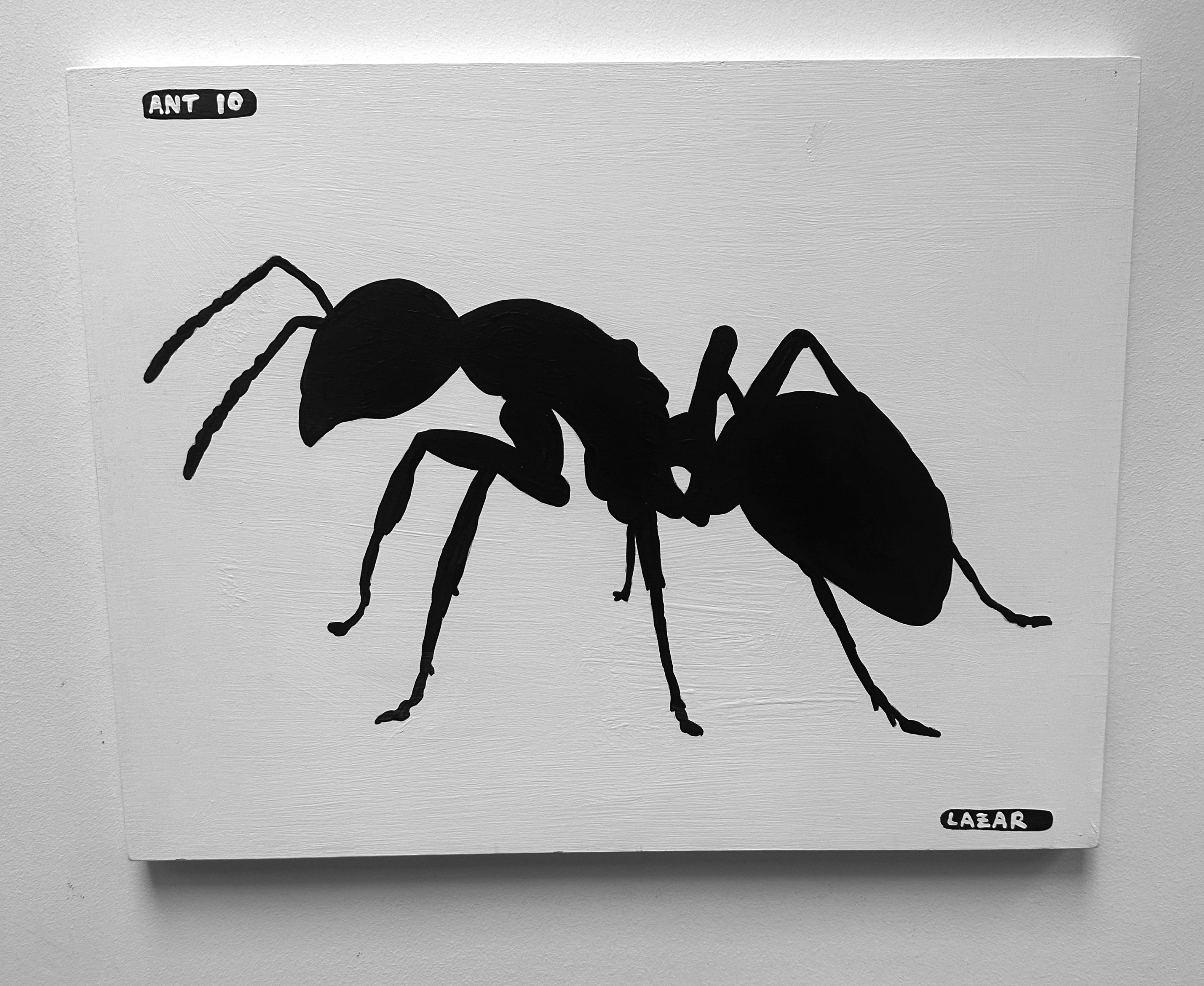 Ant #10