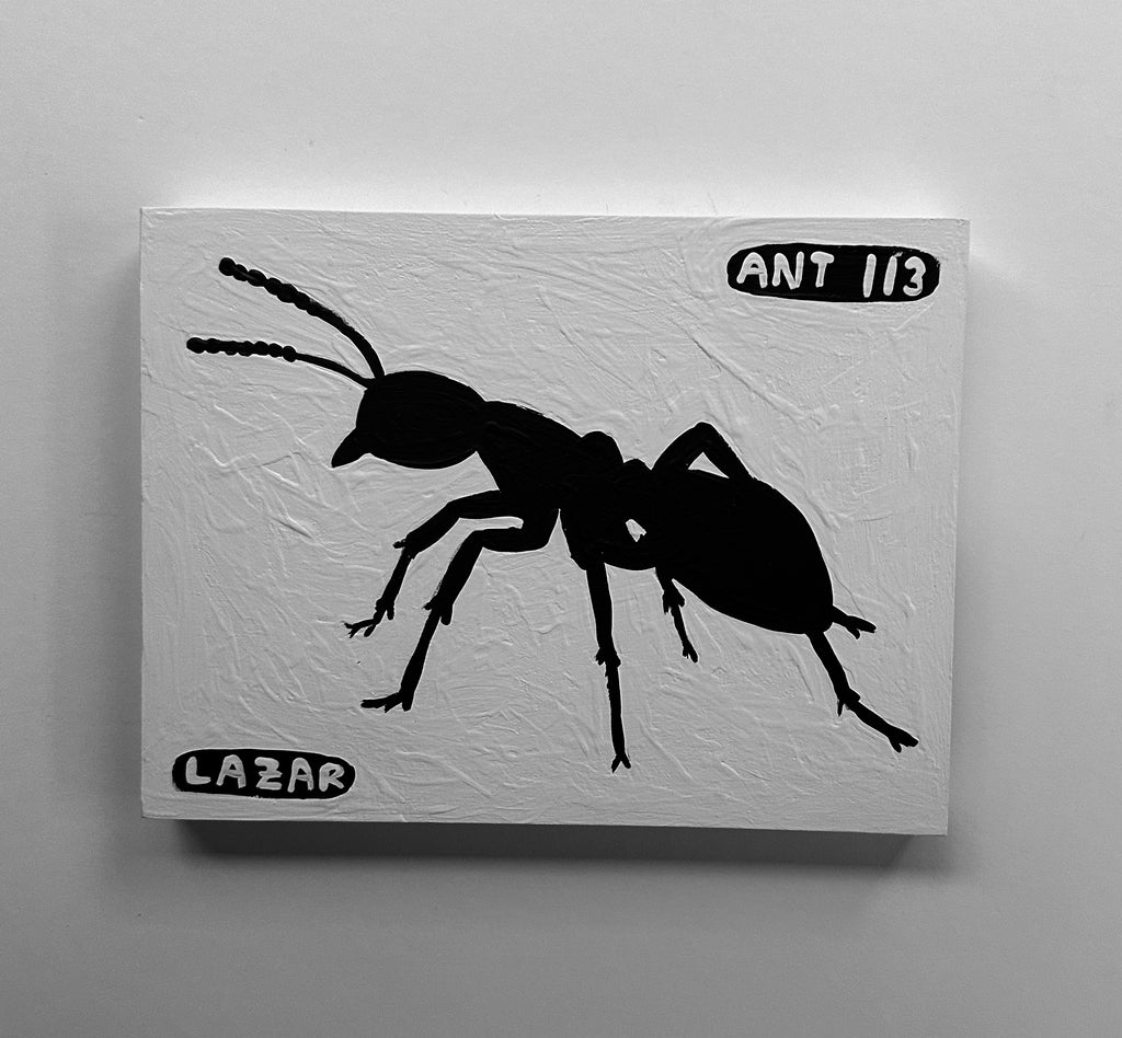 Ant #113