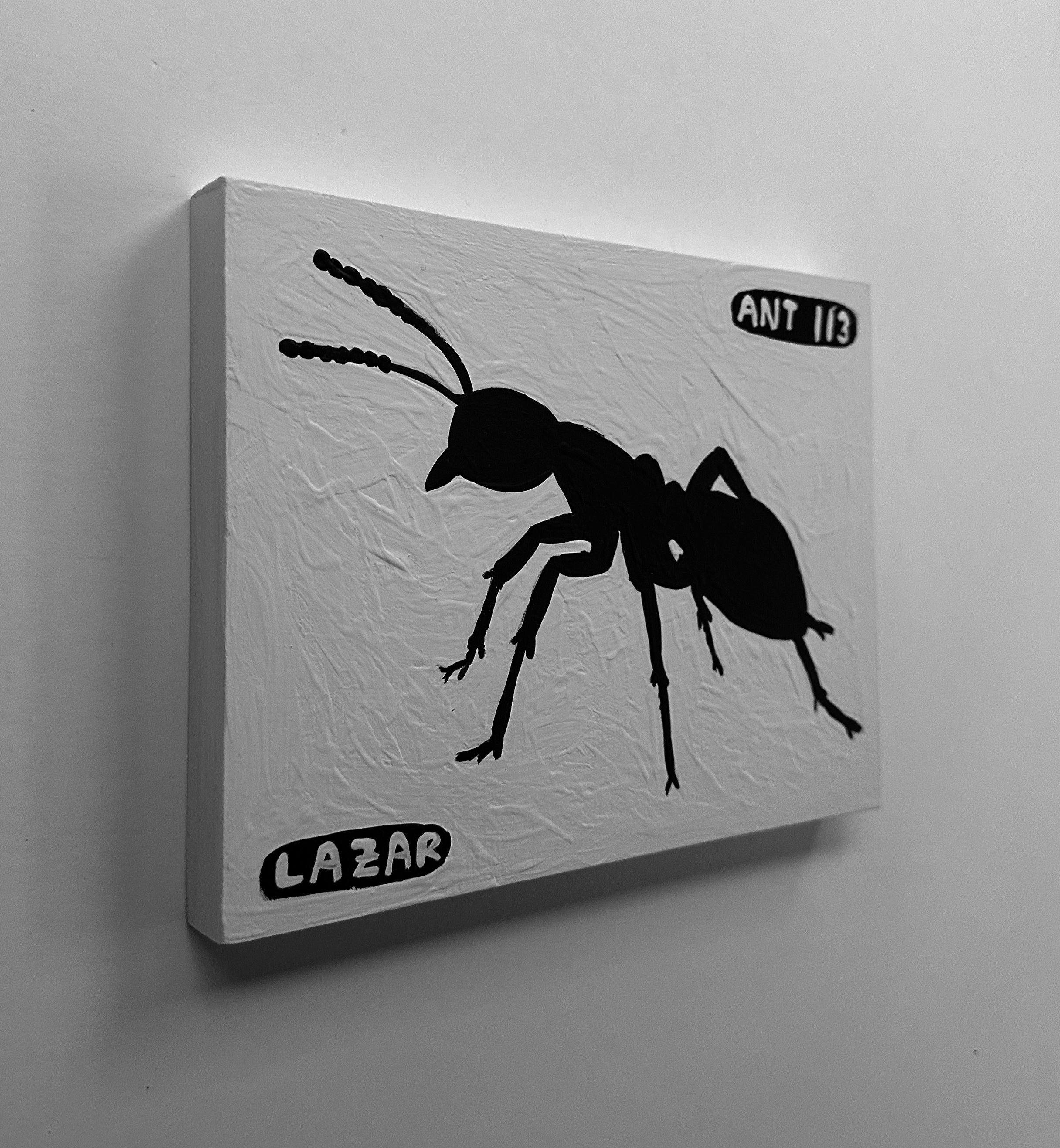 Ant #113