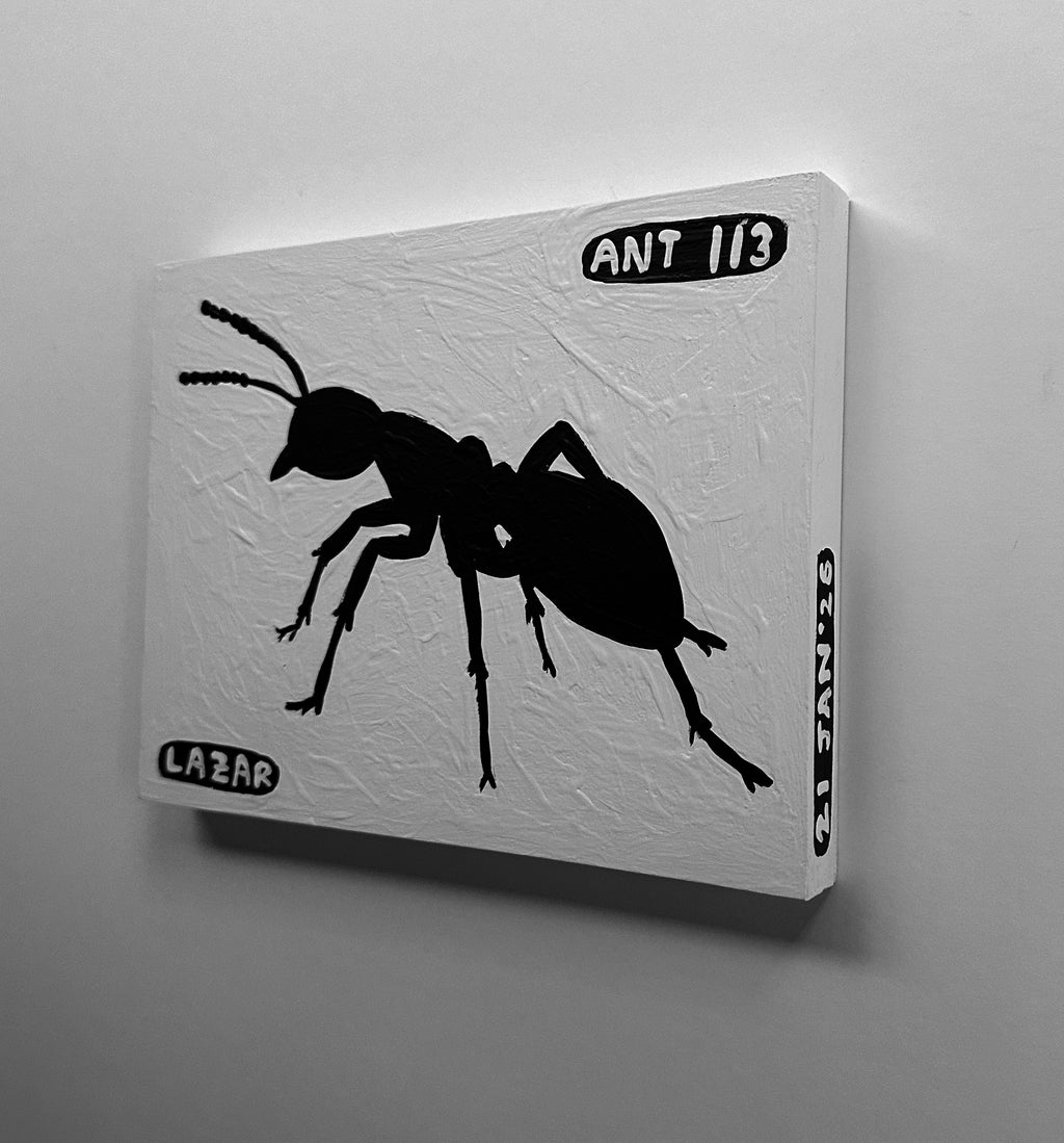 Ant #113