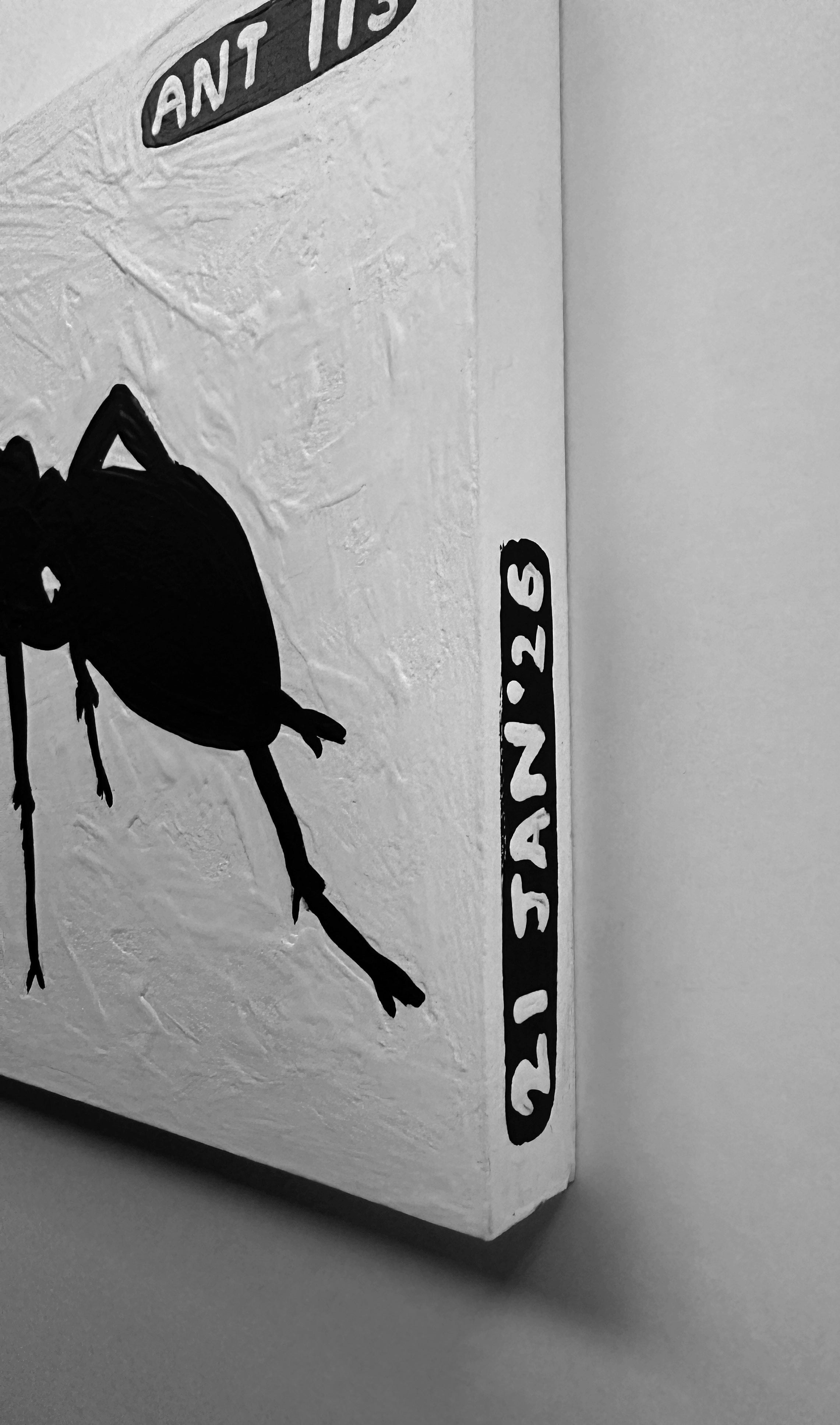 Ant #113