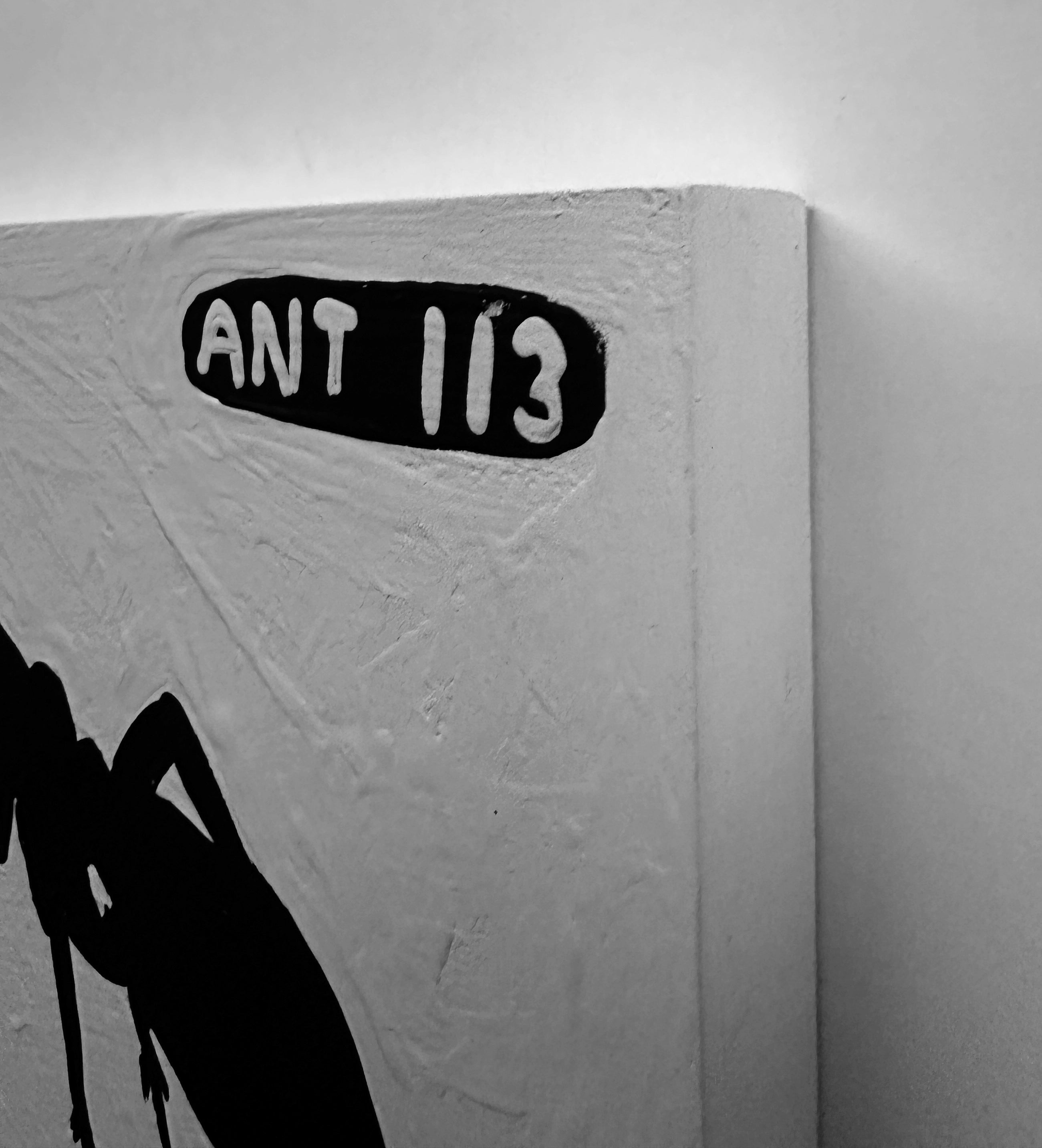 Ant #113