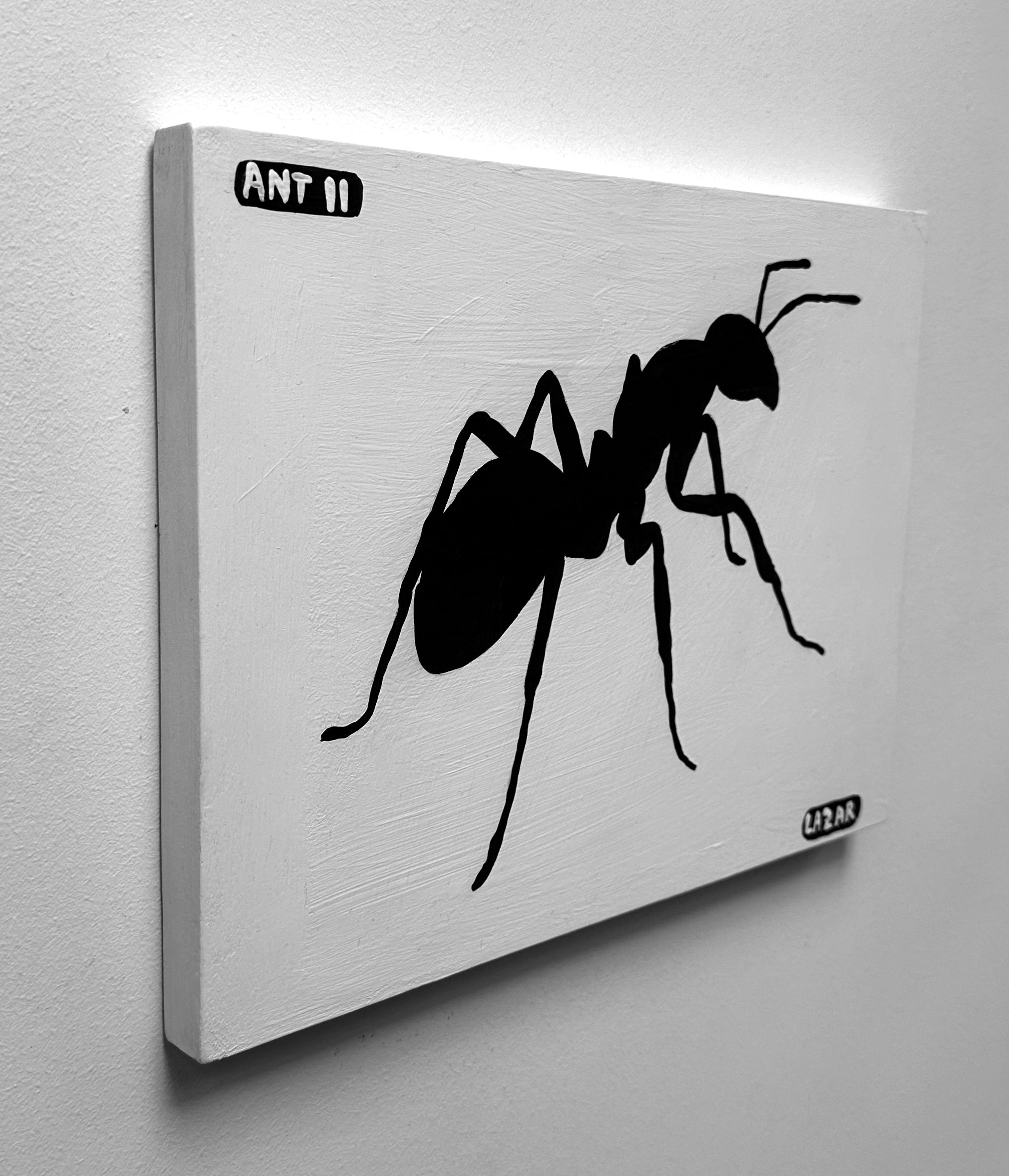 Ant #11