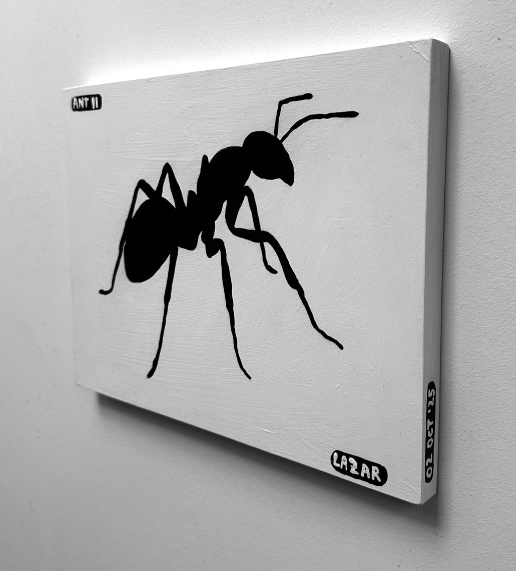 Ant #11