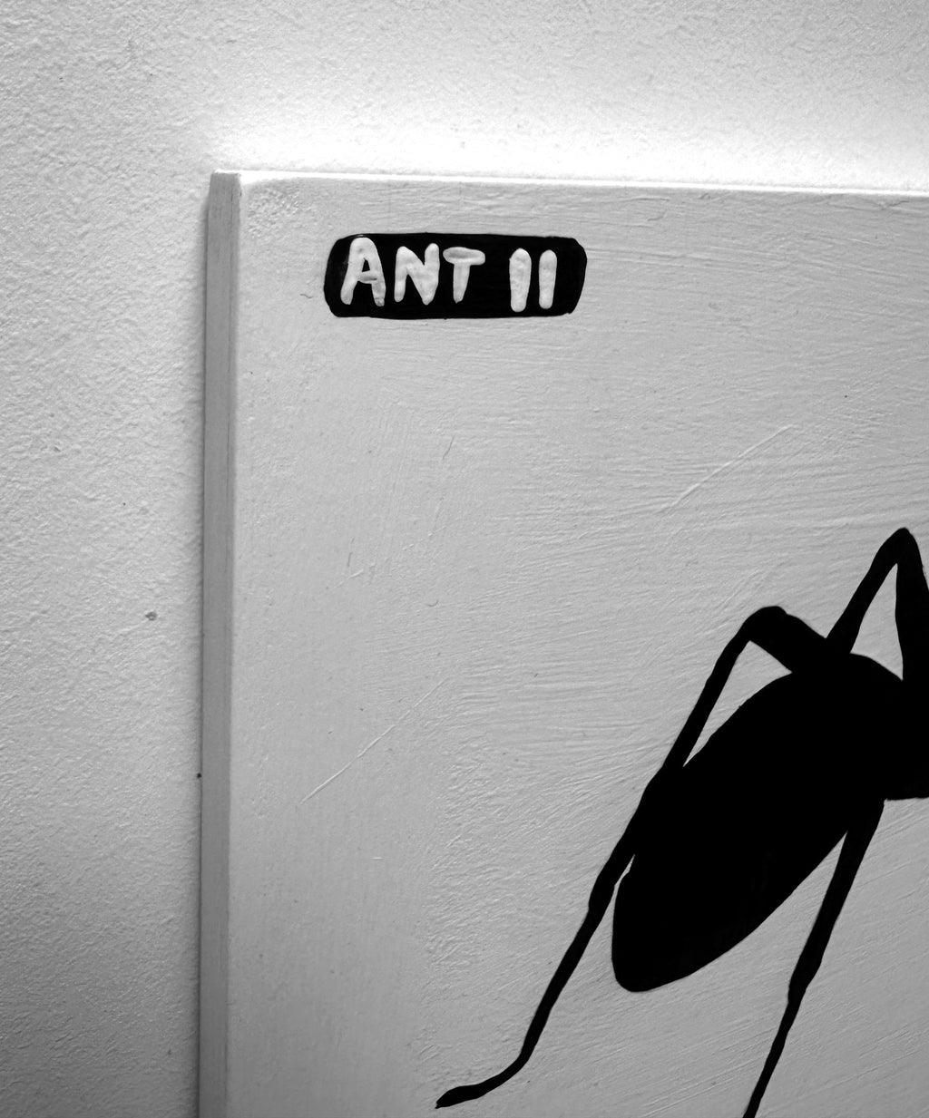 Ant #11