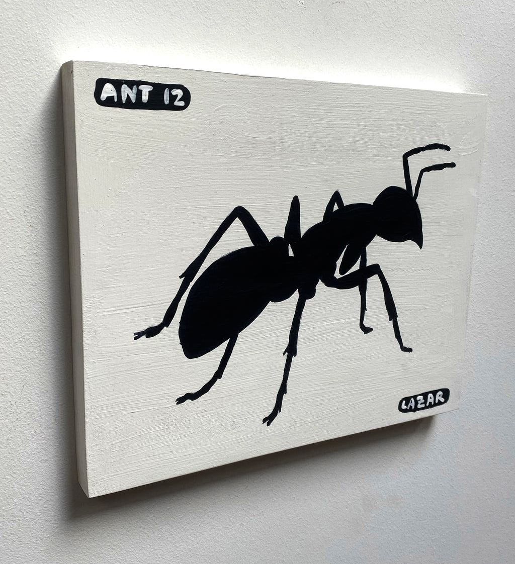 Ant #12