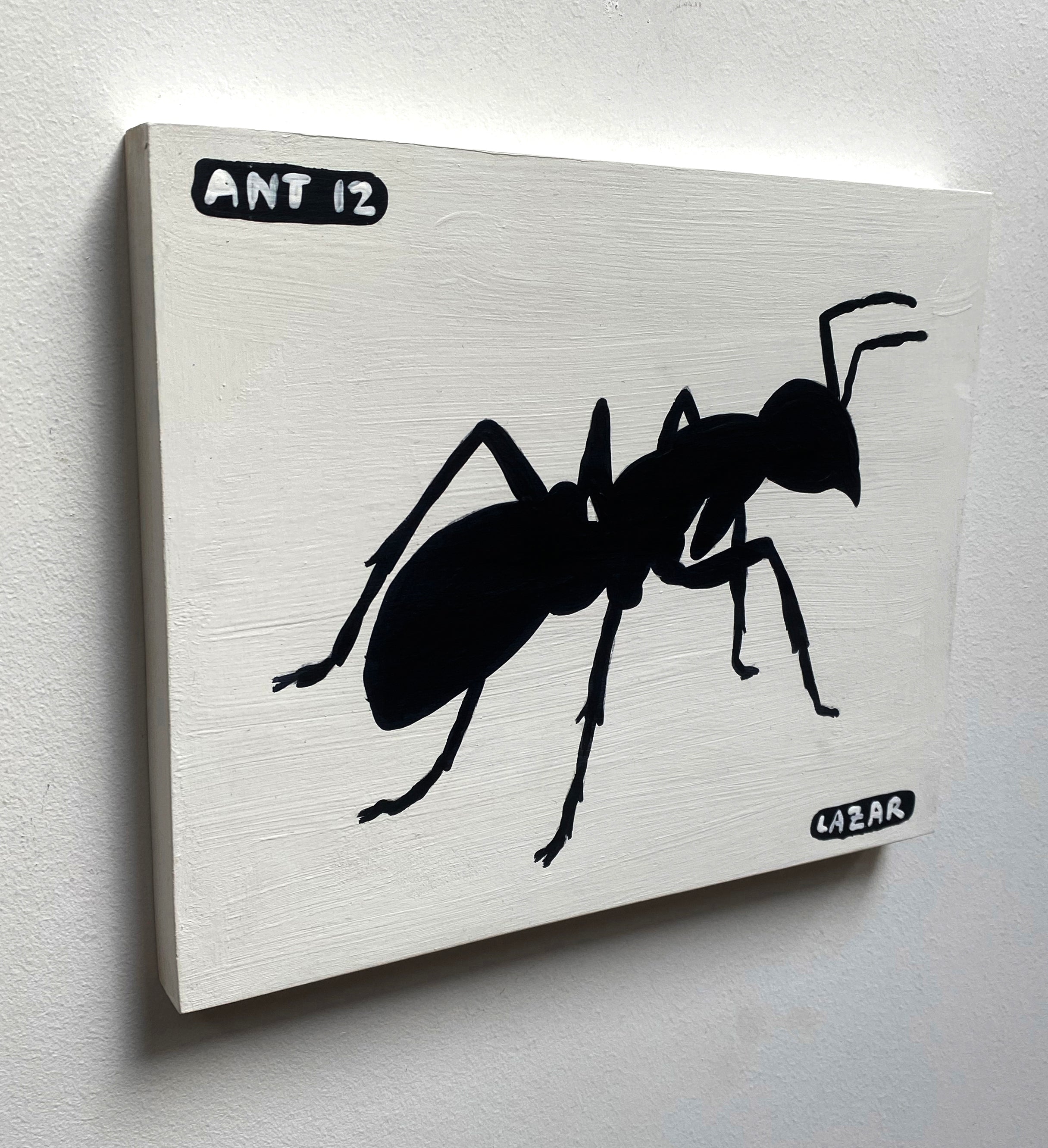 Ant #12