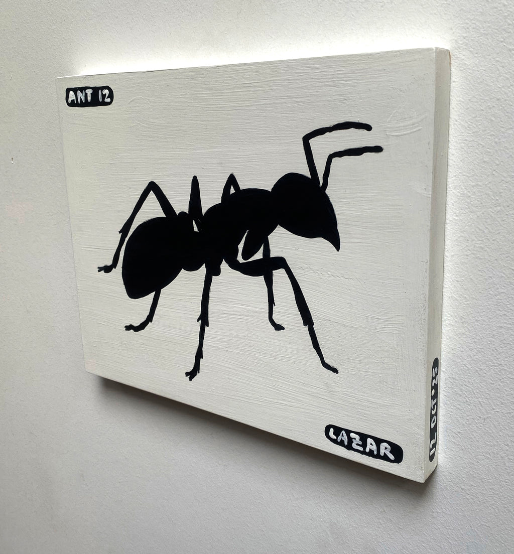 Ant #12