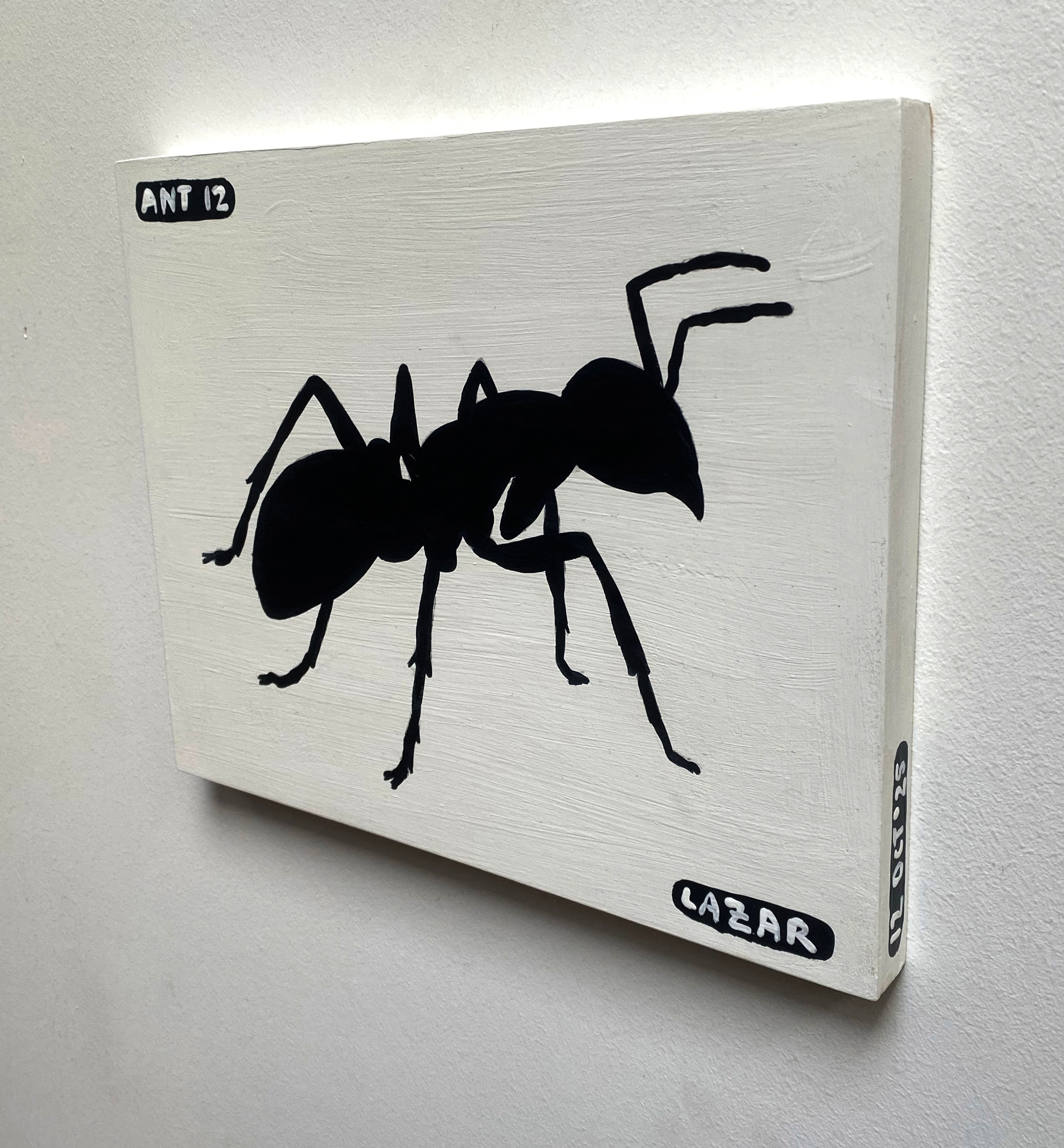 Ant #12