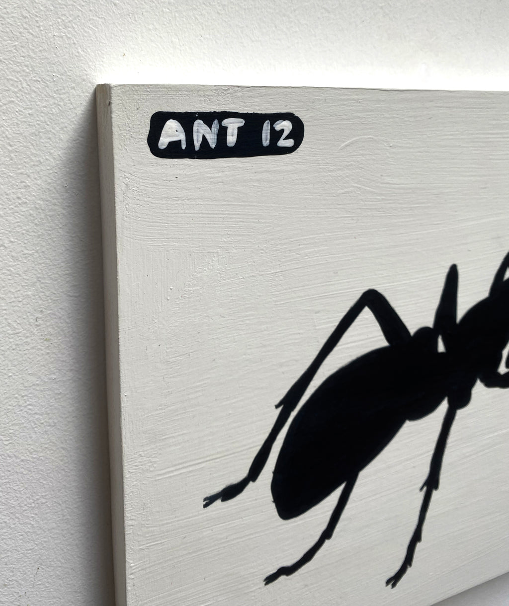 Ant #12