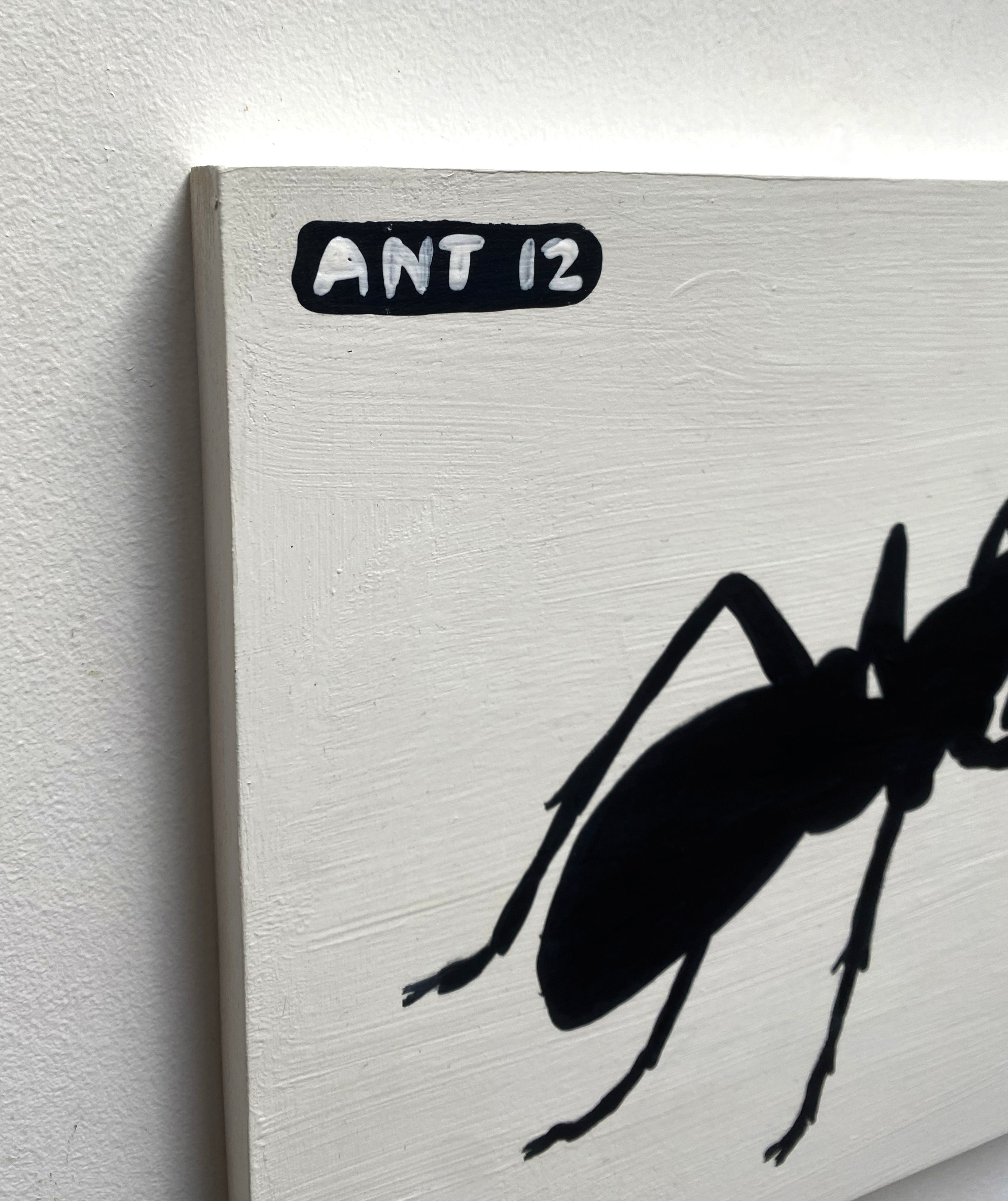 Ant #12