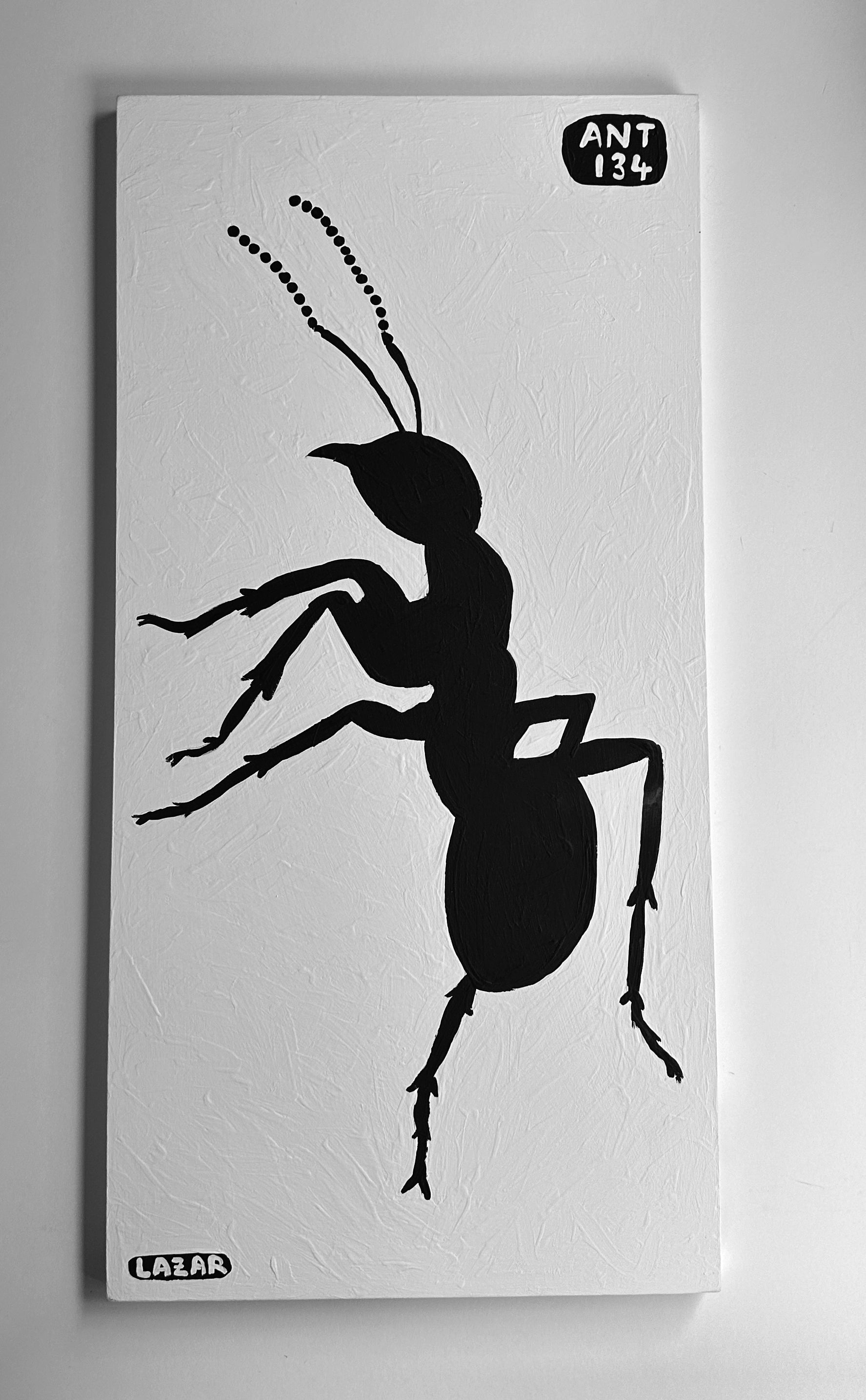 Ant #134