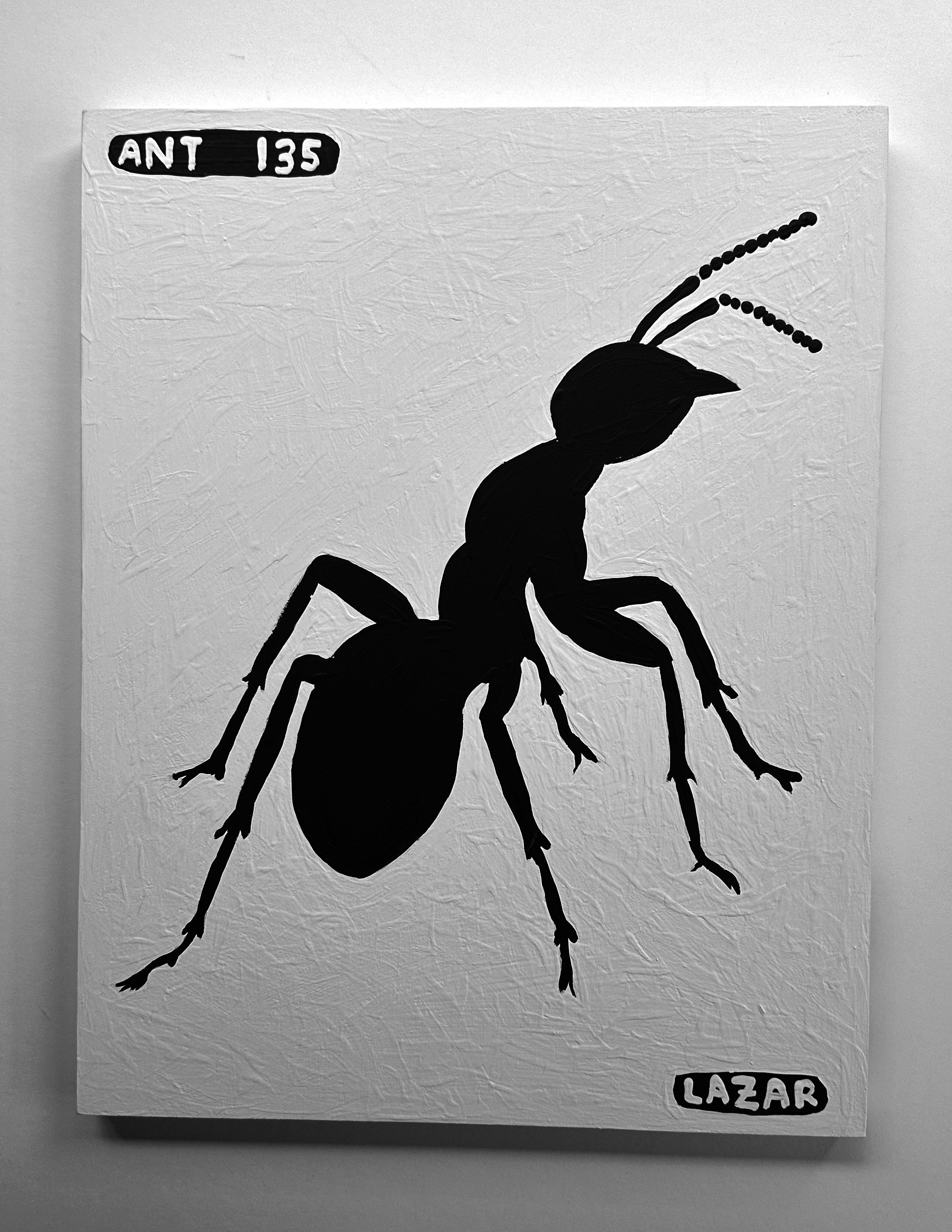 Ant #135