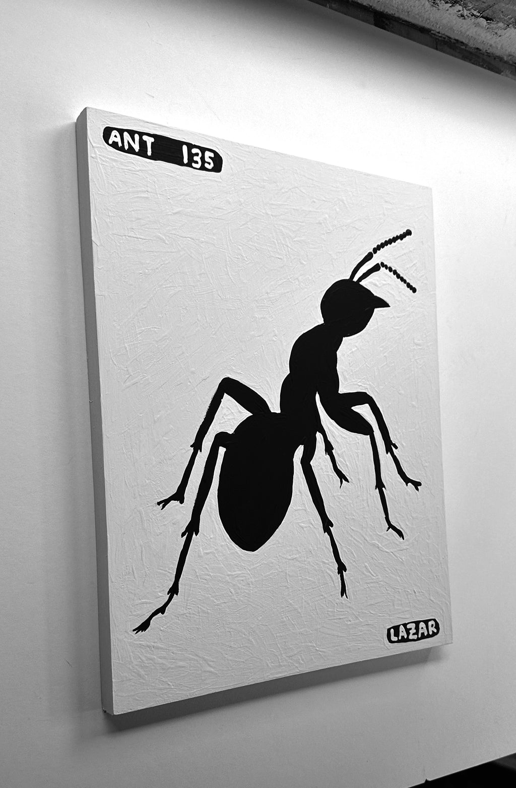 Ant #135
