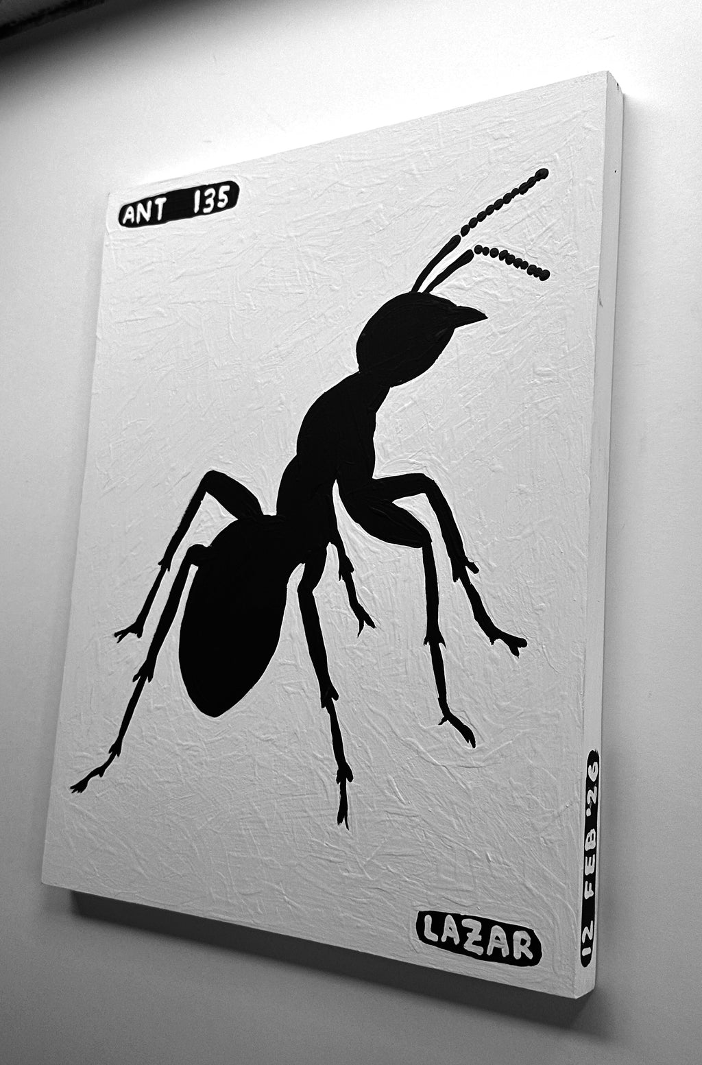 Ant #135