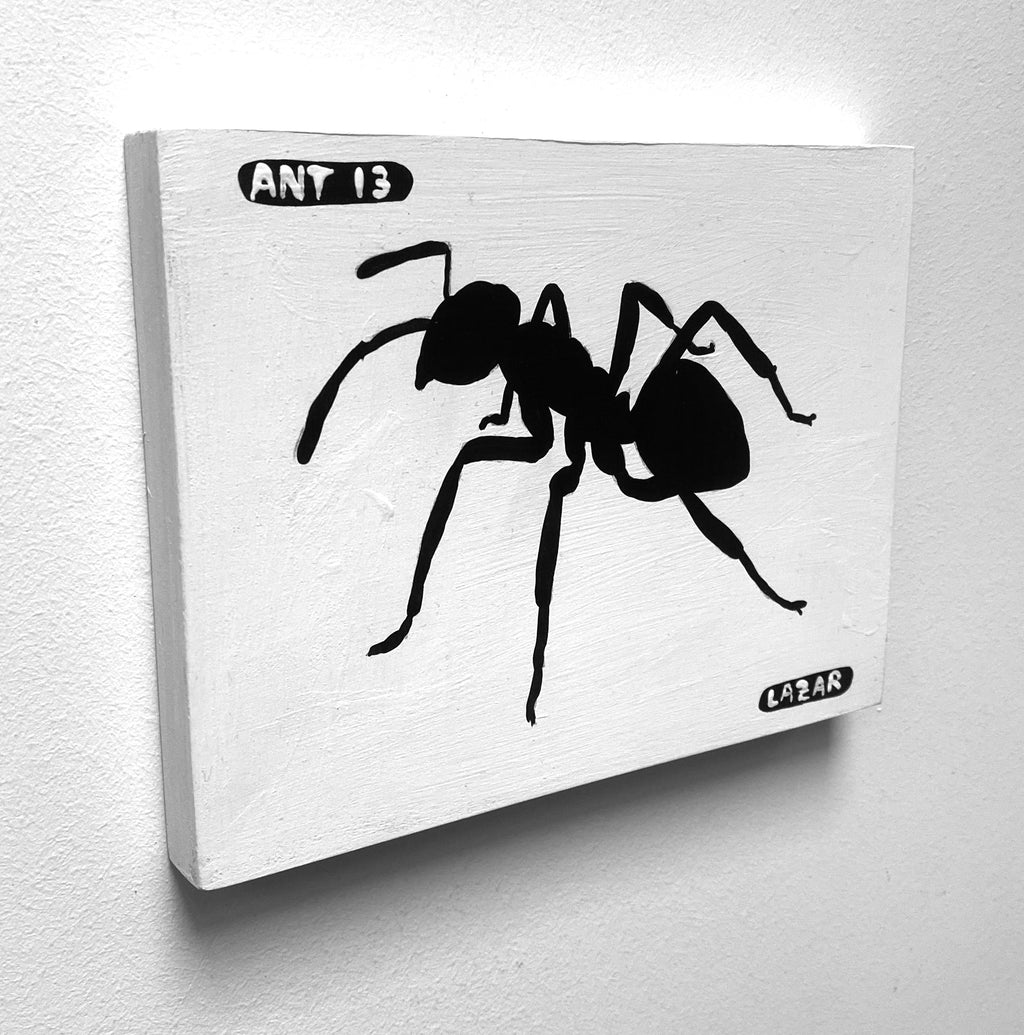 Ant #13