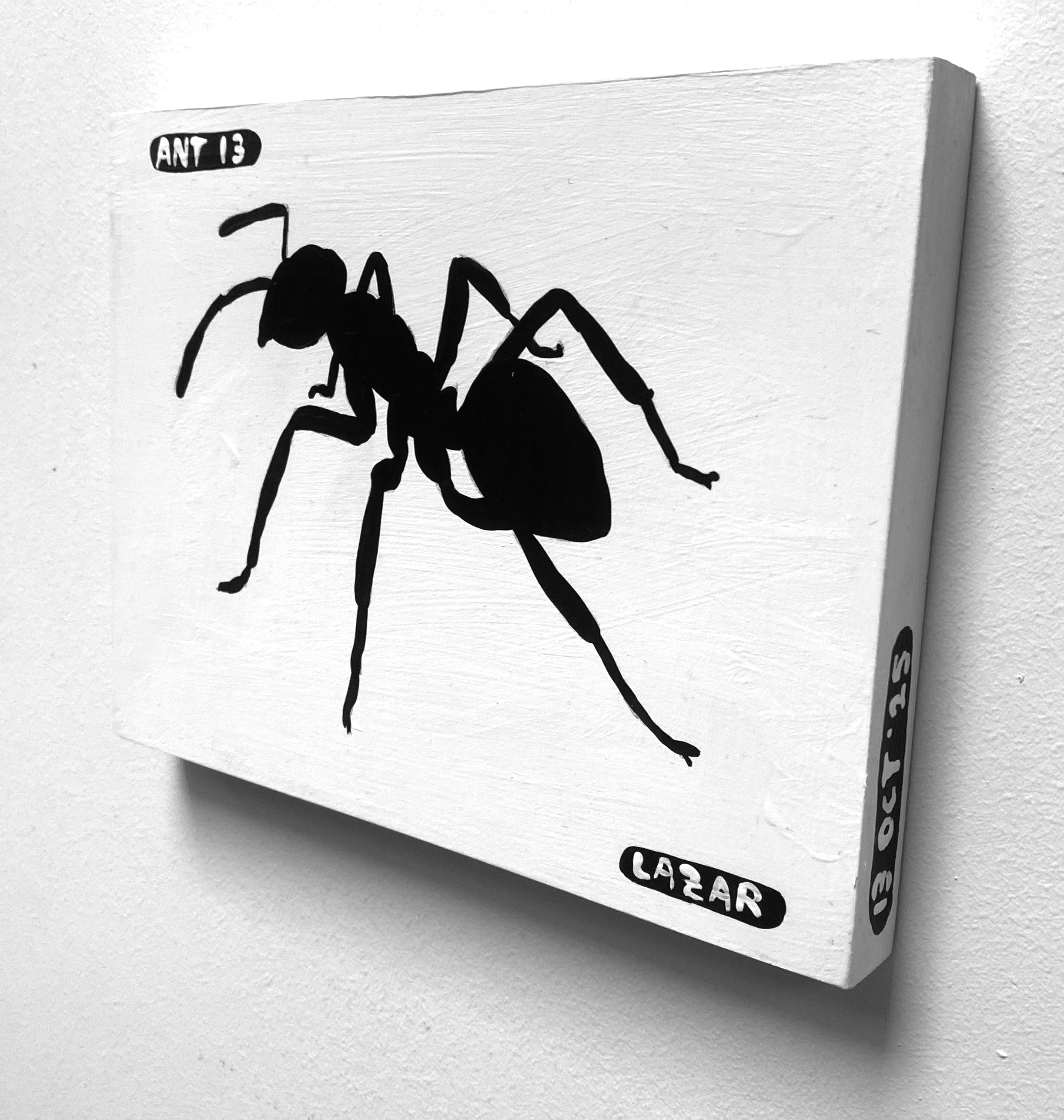 Ant #13