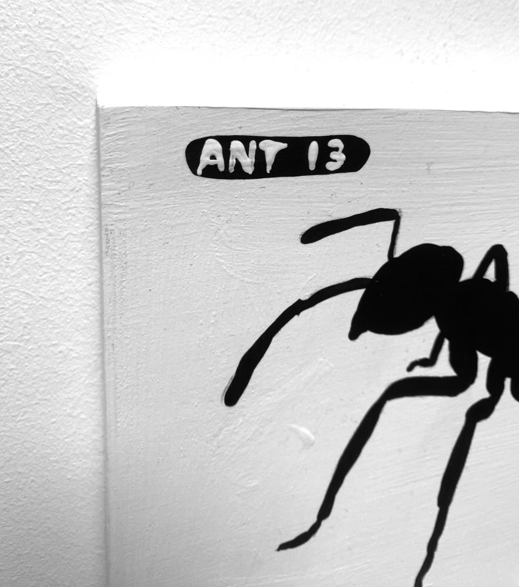 Ant #13