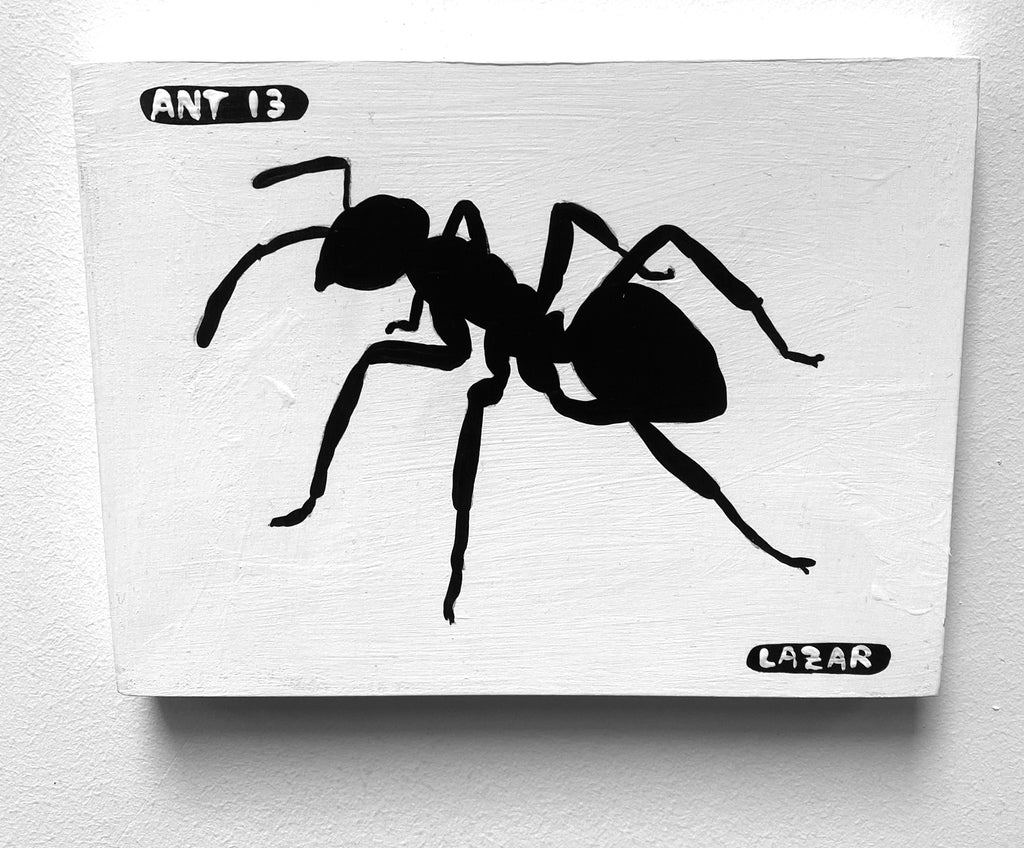 Ant #13