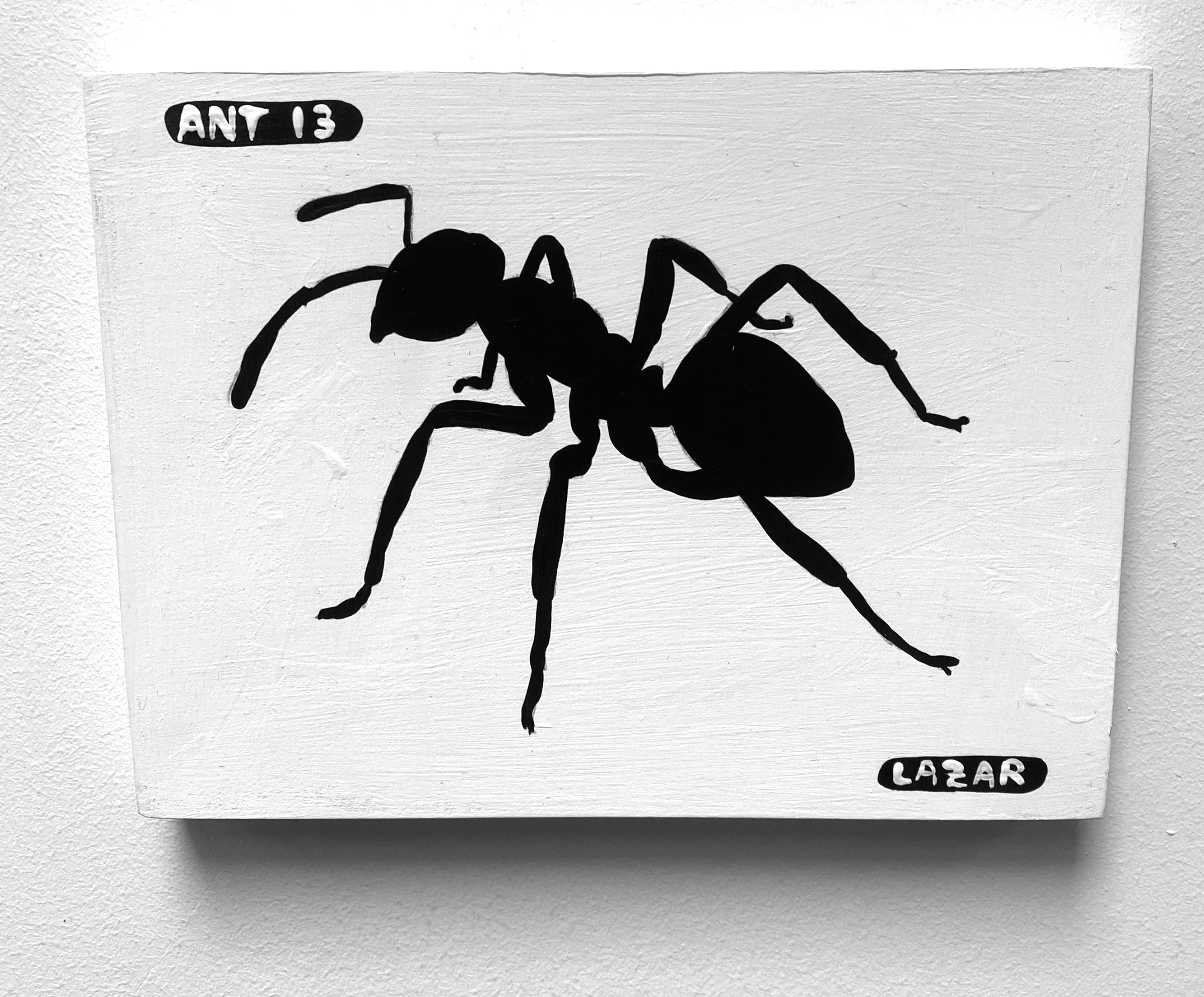 Ant #13