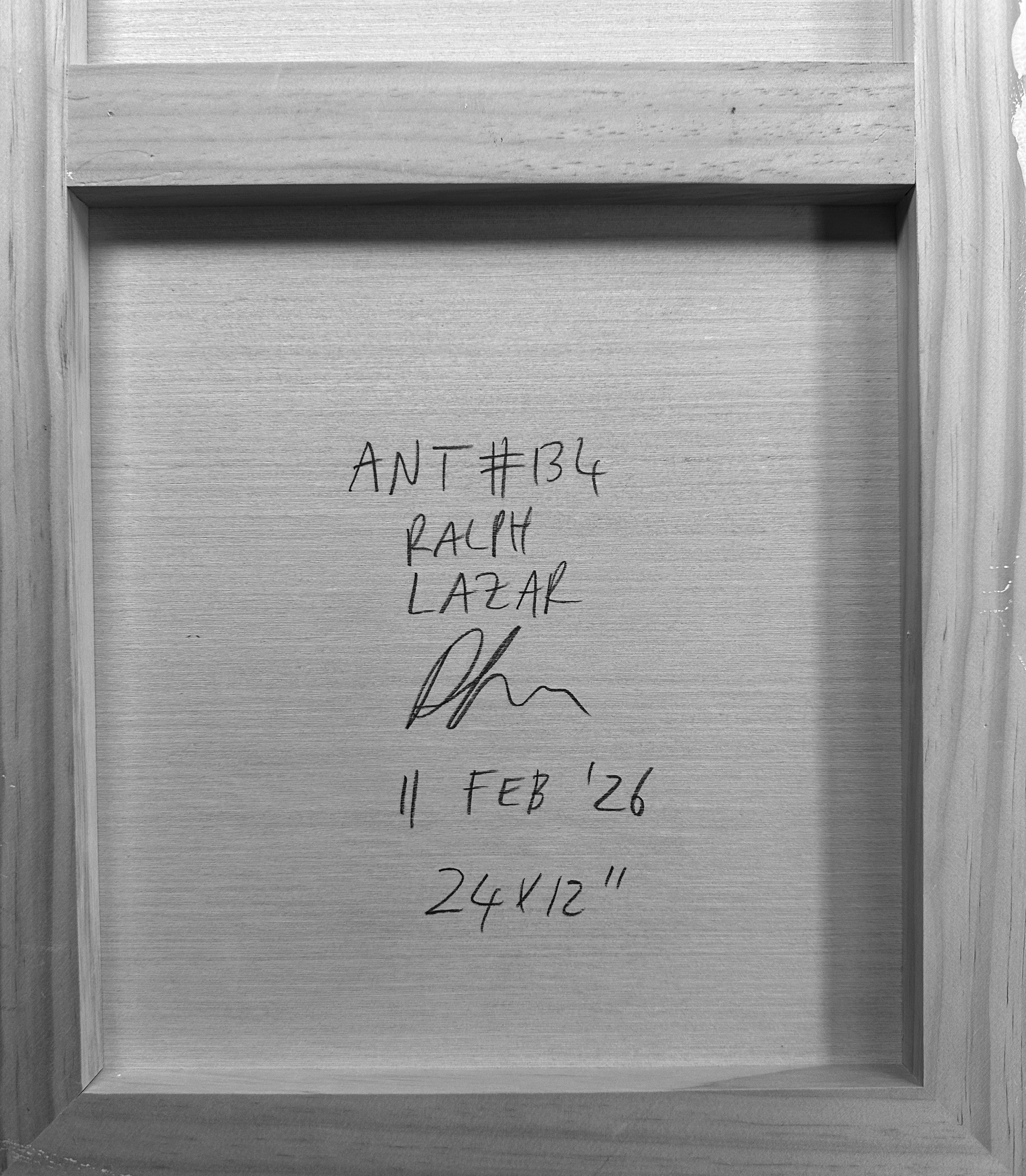 Ant #134