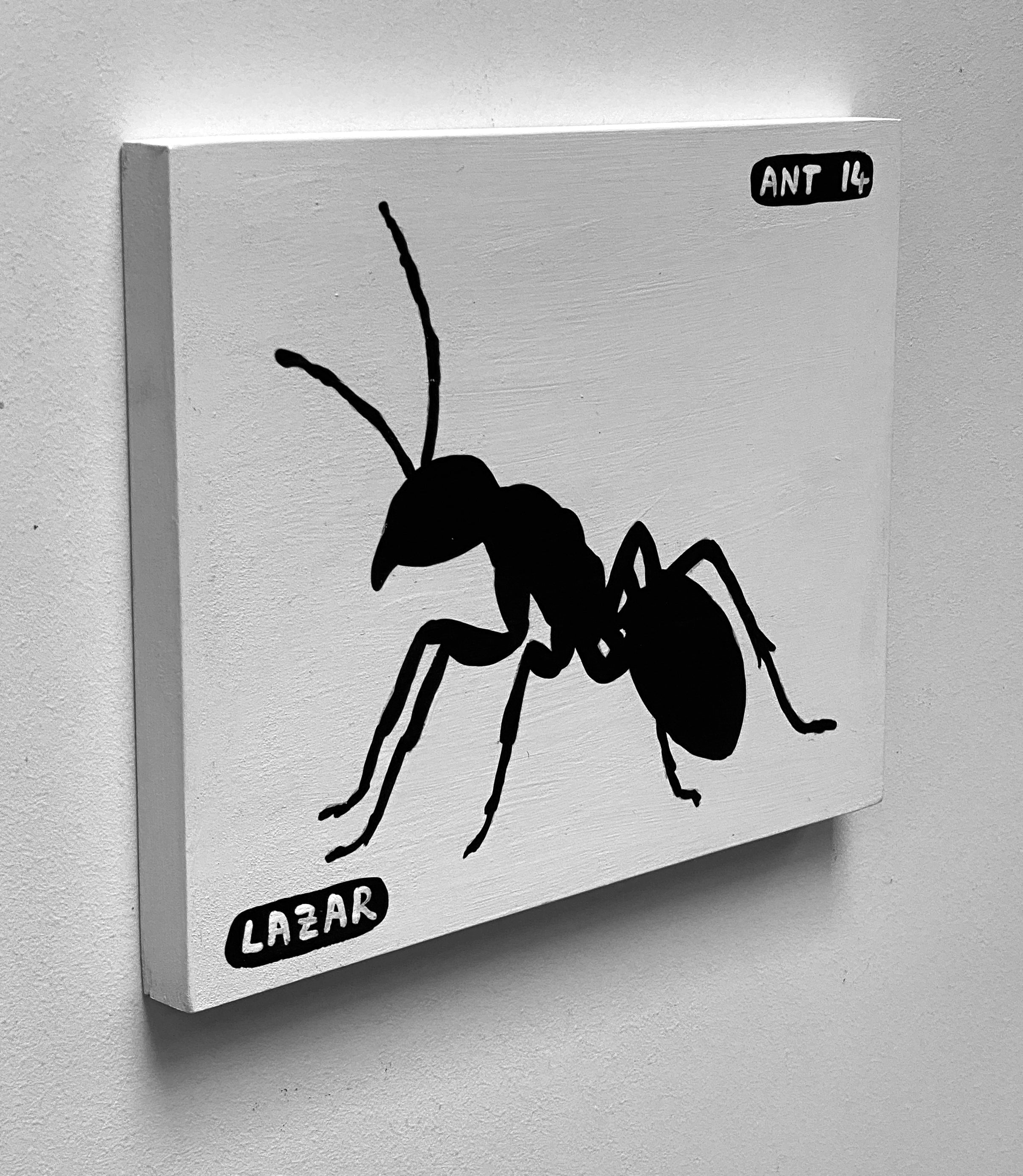 Ant #14